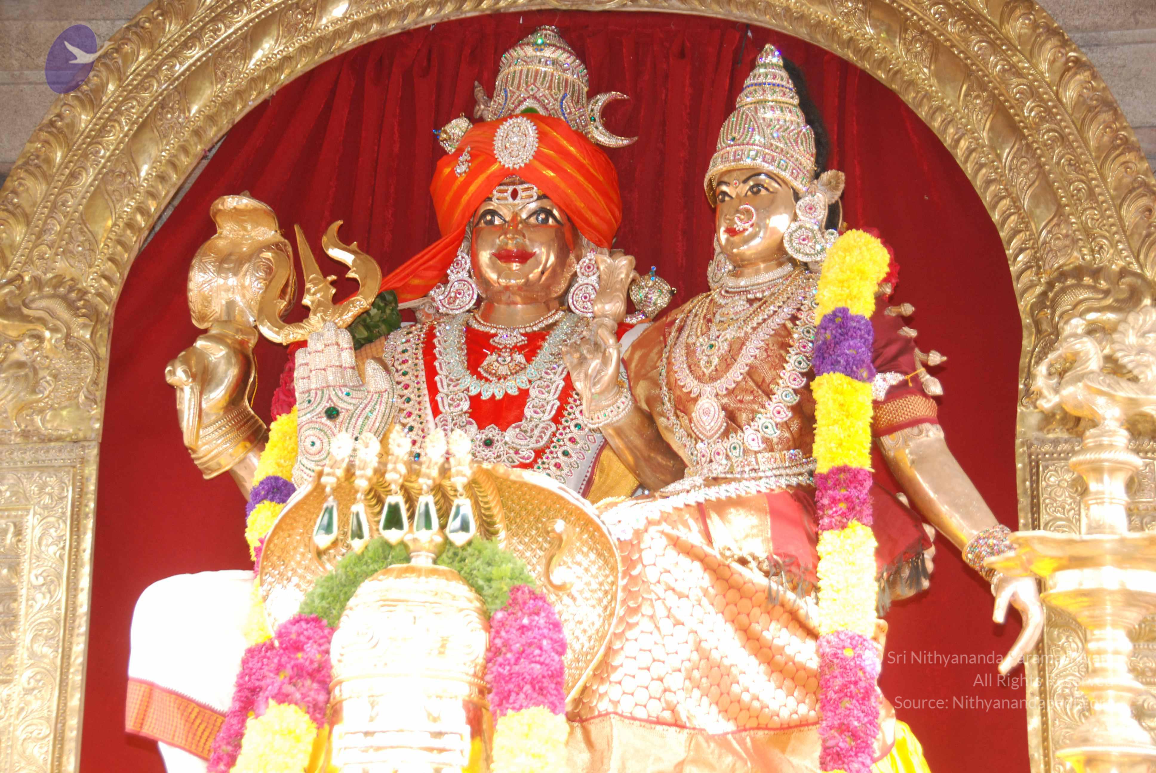 20100808_Photo_1001_DSC_9843_CMP_WM