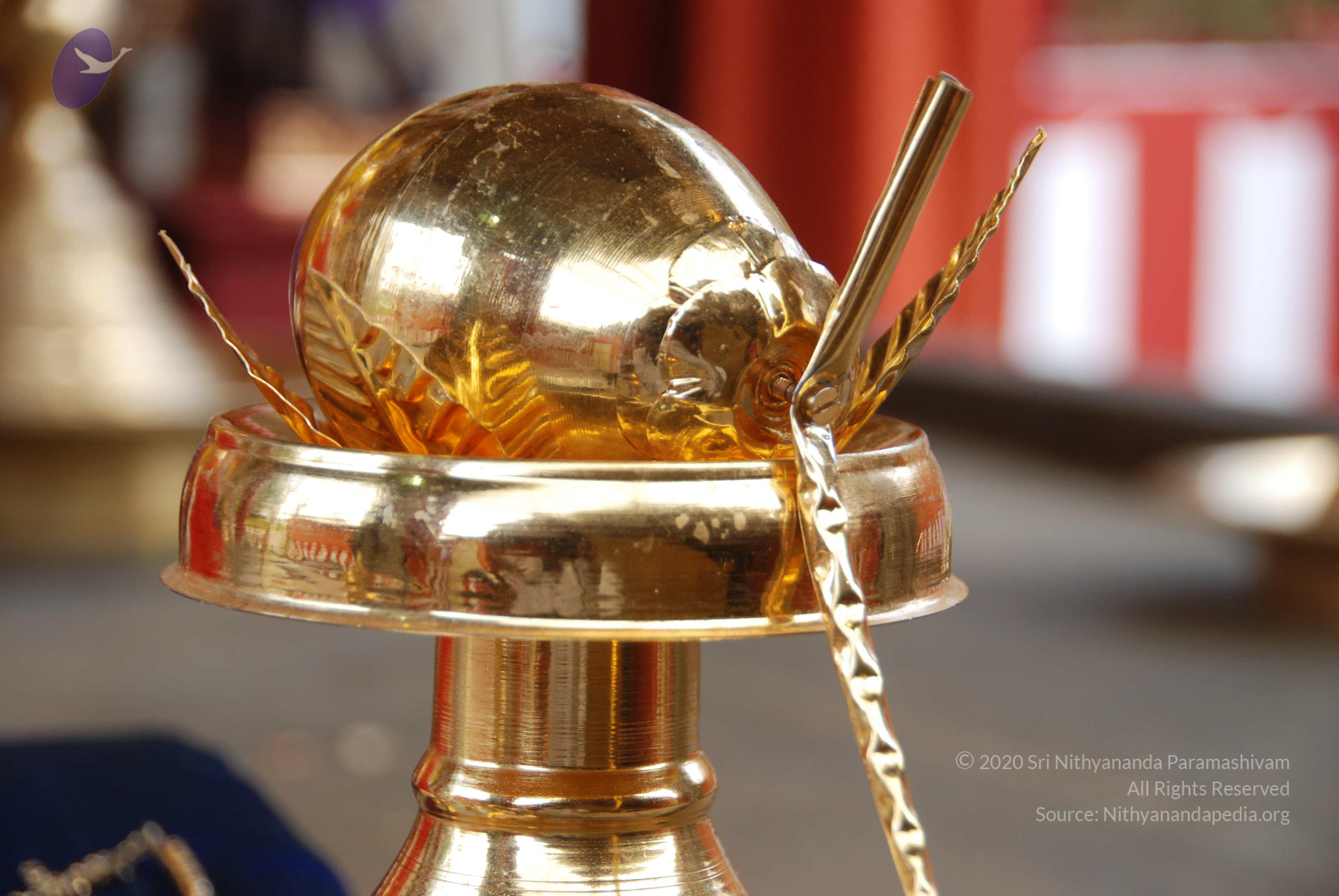 20100808_Photo_1002_DSC_9849_CMP_WM