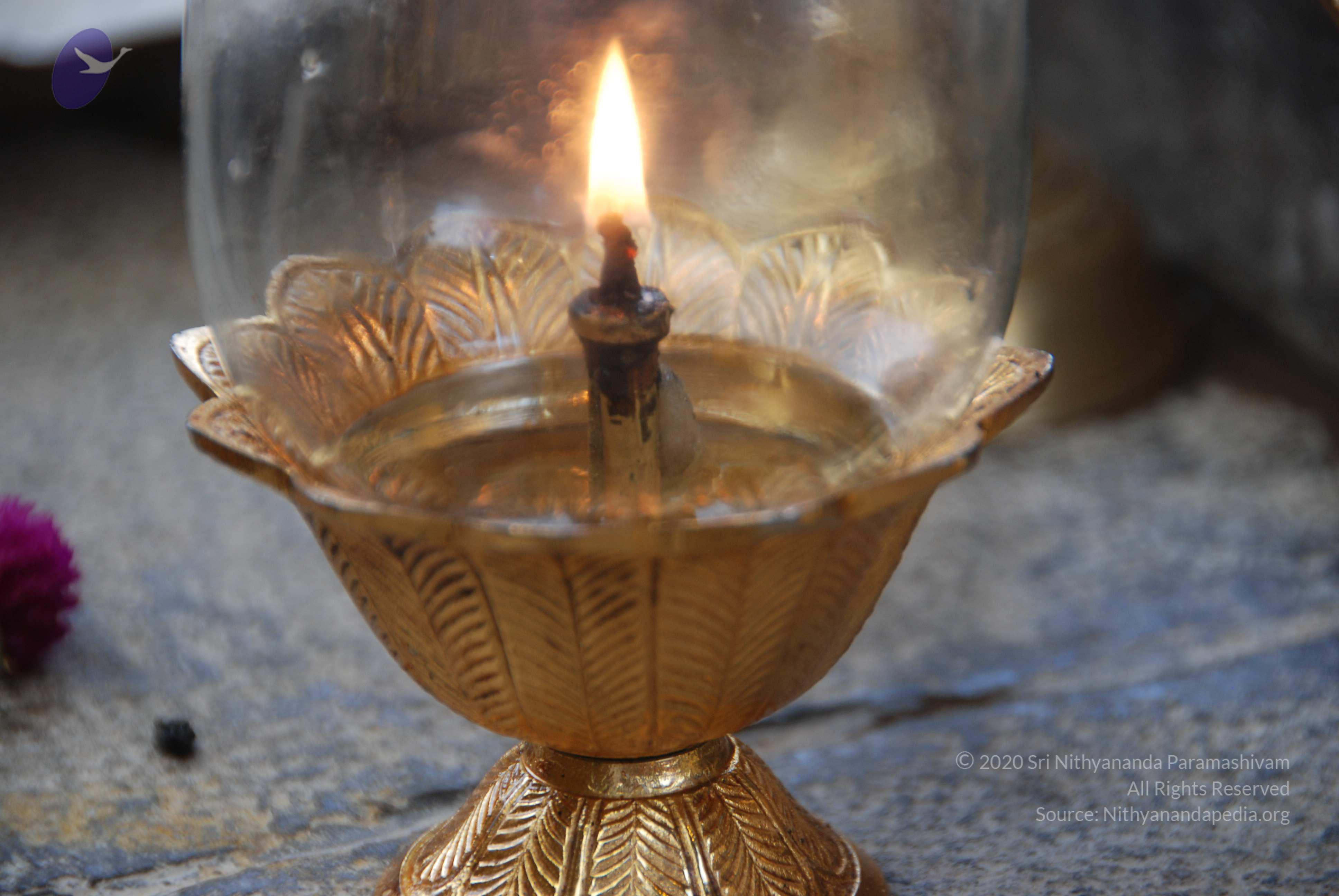 20100808_Photo_1006_DSC_9851_CMP_WM