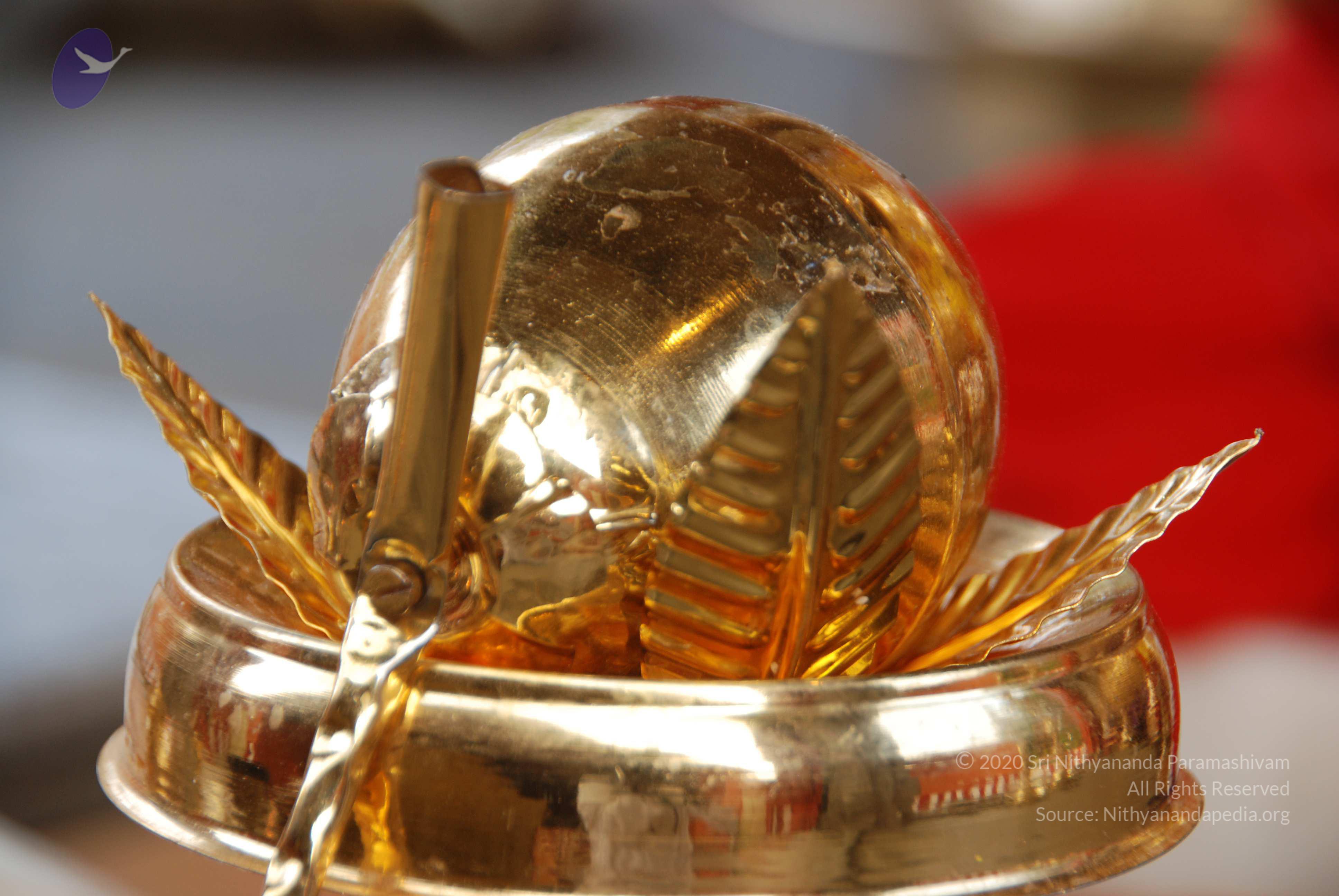 20100808_Photo_1007_DSC_9848_CMP_WM