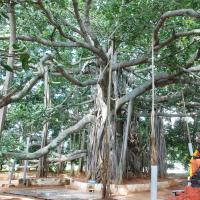 20100808_Photo_1000_DSC_0051_CMP_WM