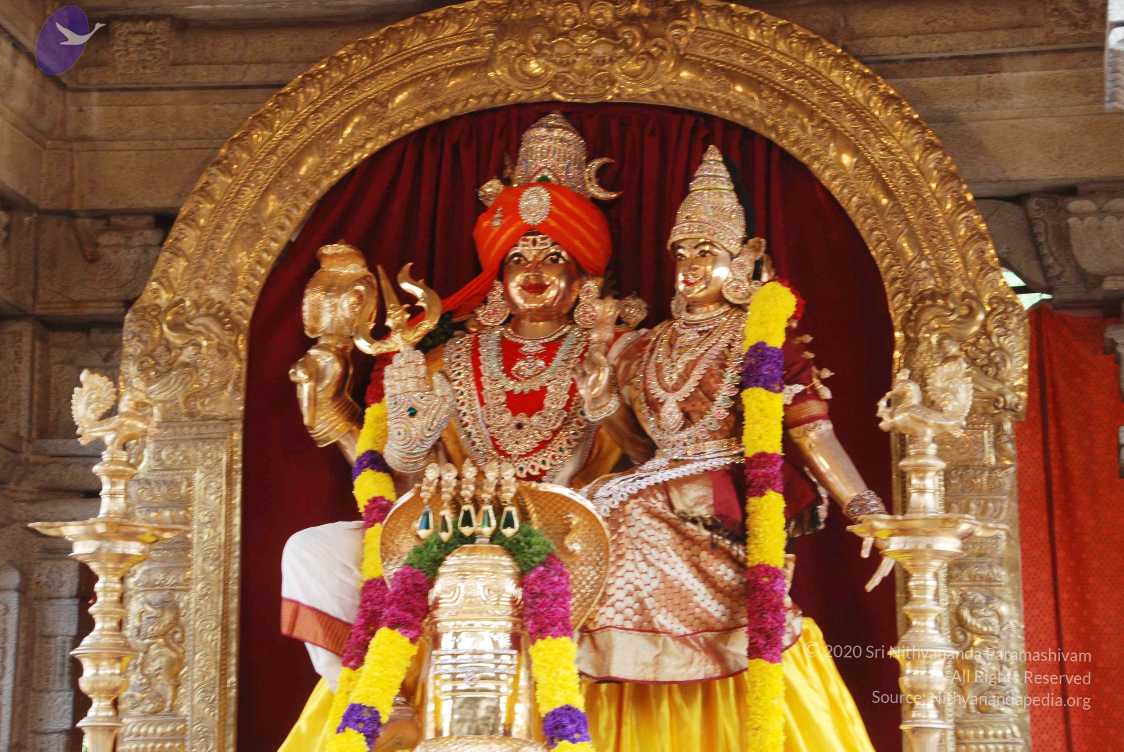 20100808_Photo_1001_DSC_0066_CMP_WM