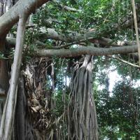 20100808_Photo_1003_DSC_0059_CMP_WM