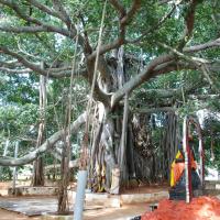 20100808_Photo_1013_DSC_0057_CMP_WM