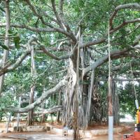 20100808_Photo_1017_DSC_0052_CMP_WM