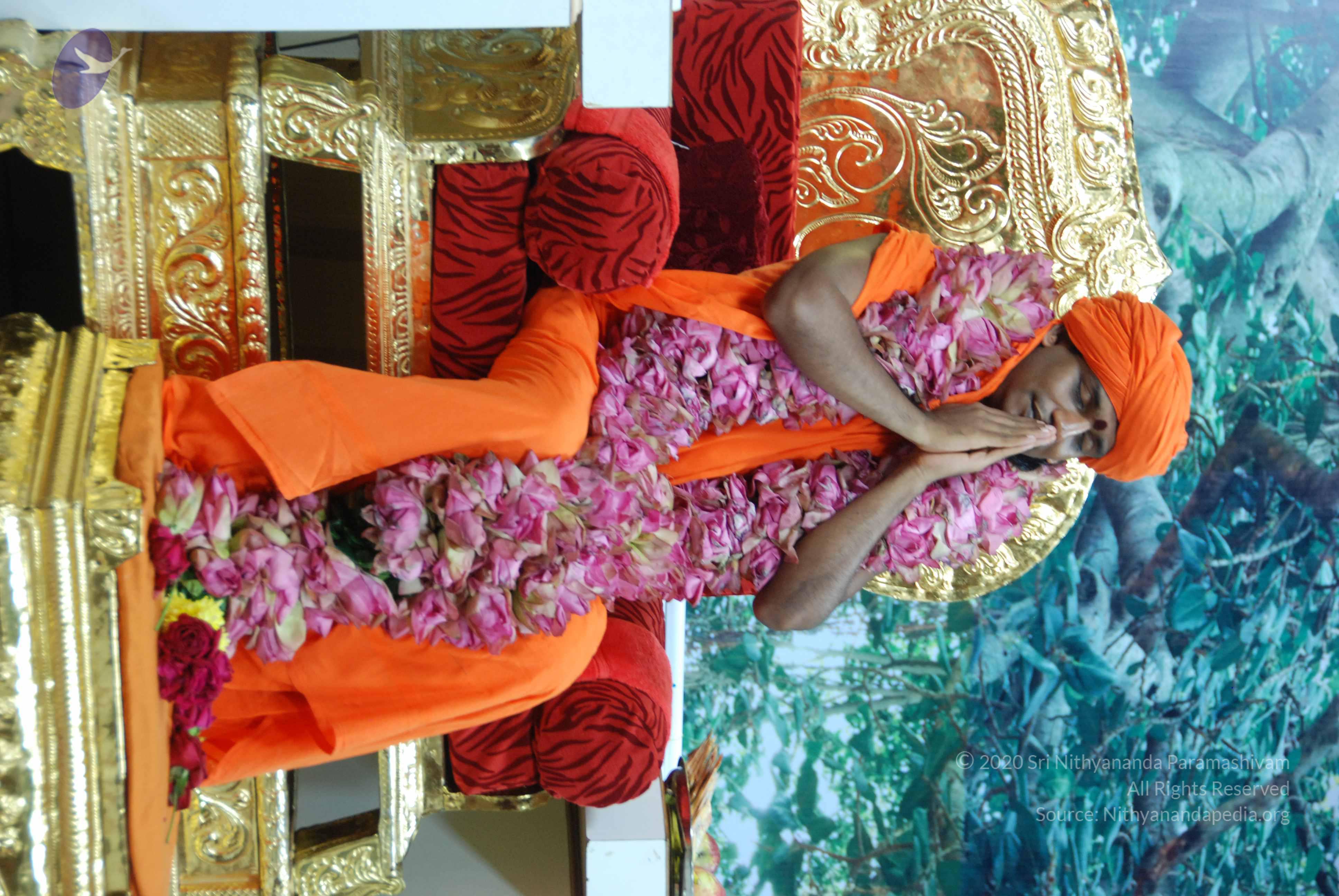 20100808_Photo_1005_DSC_0443_CMP_WM