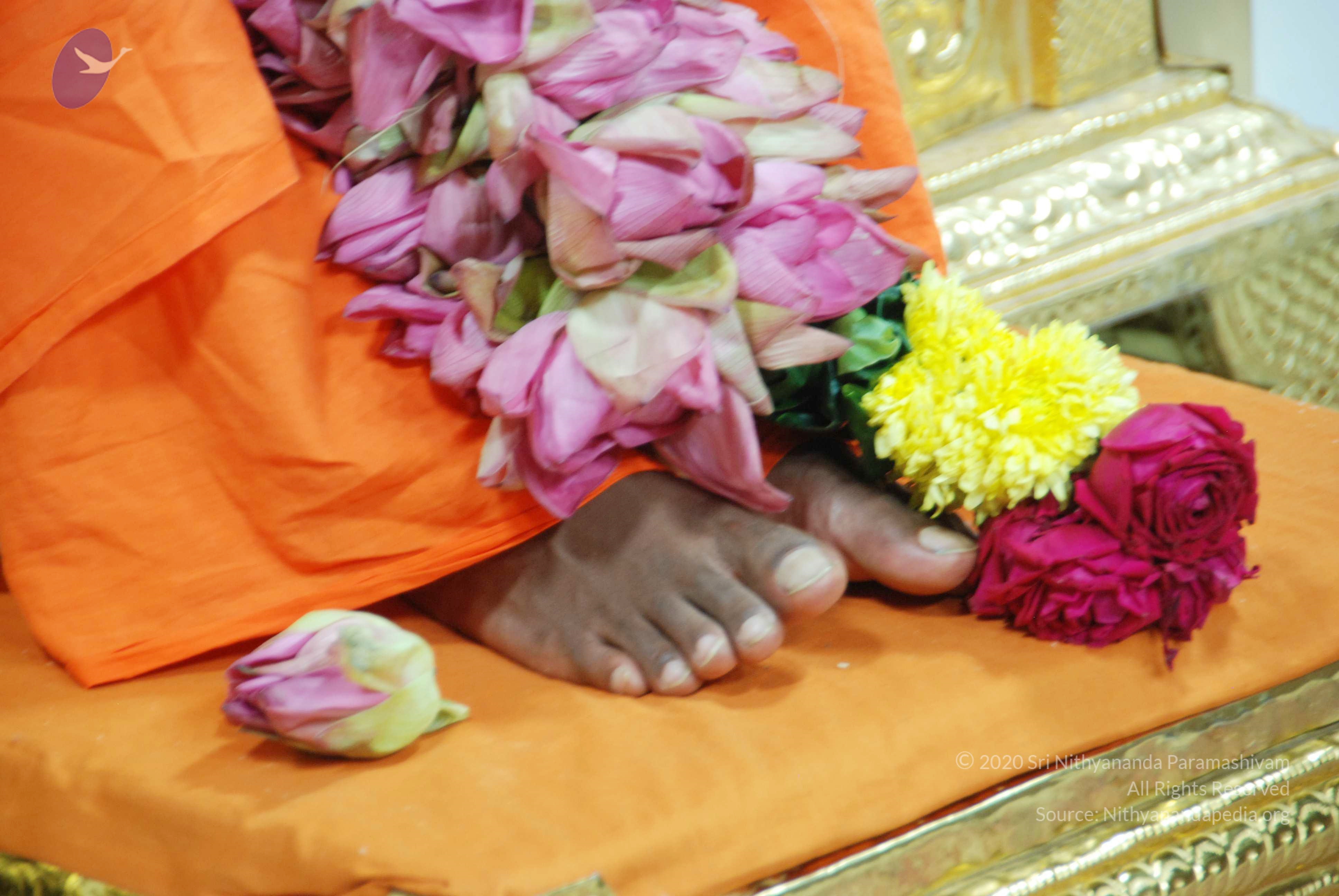 20100808_Photo_1008_DSC_0379_CMP_WM