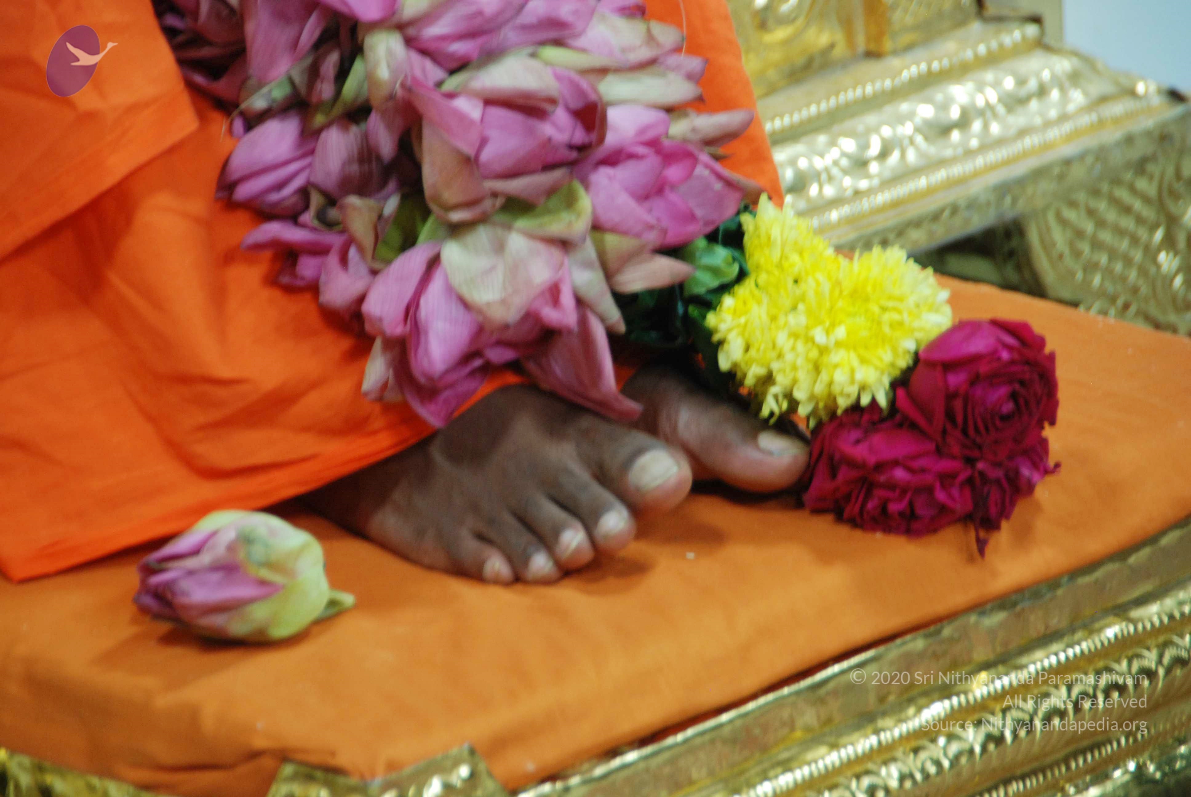 20100808_Photo_1026_DSC_0378_CMP_WM