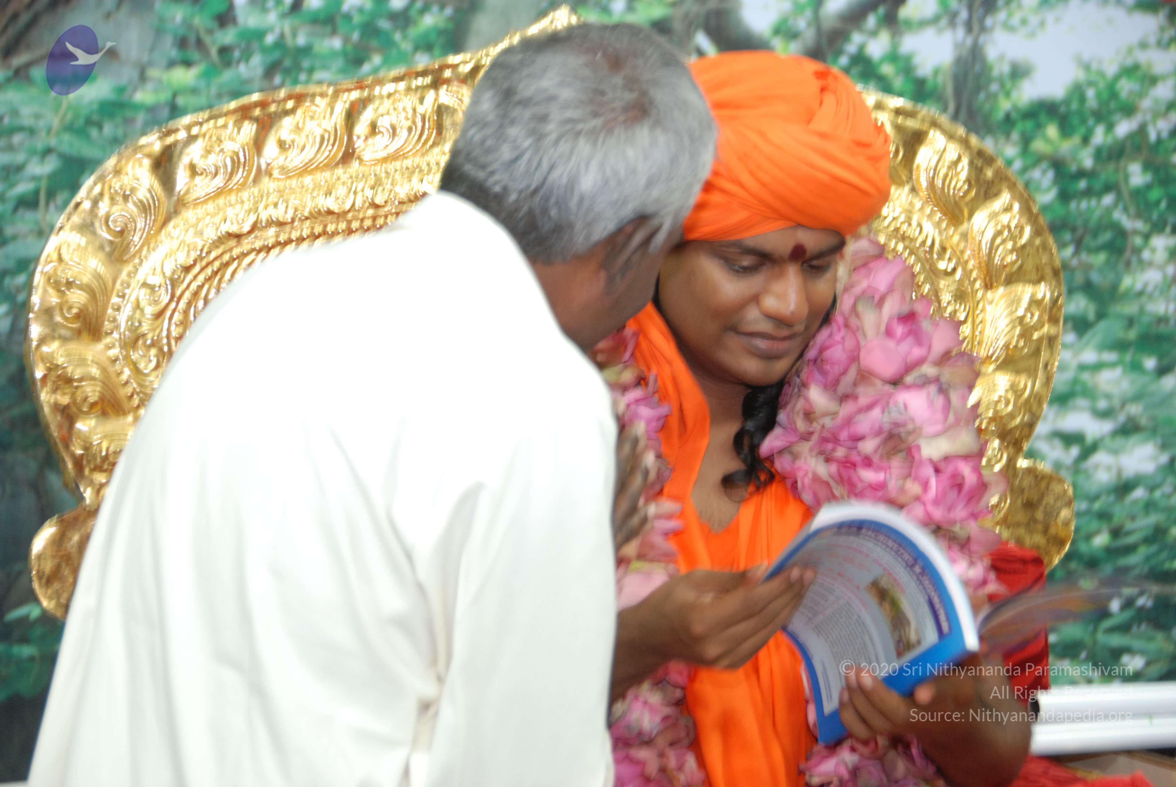 20100808_Photo_1029_DSC_0382_CMP_WM