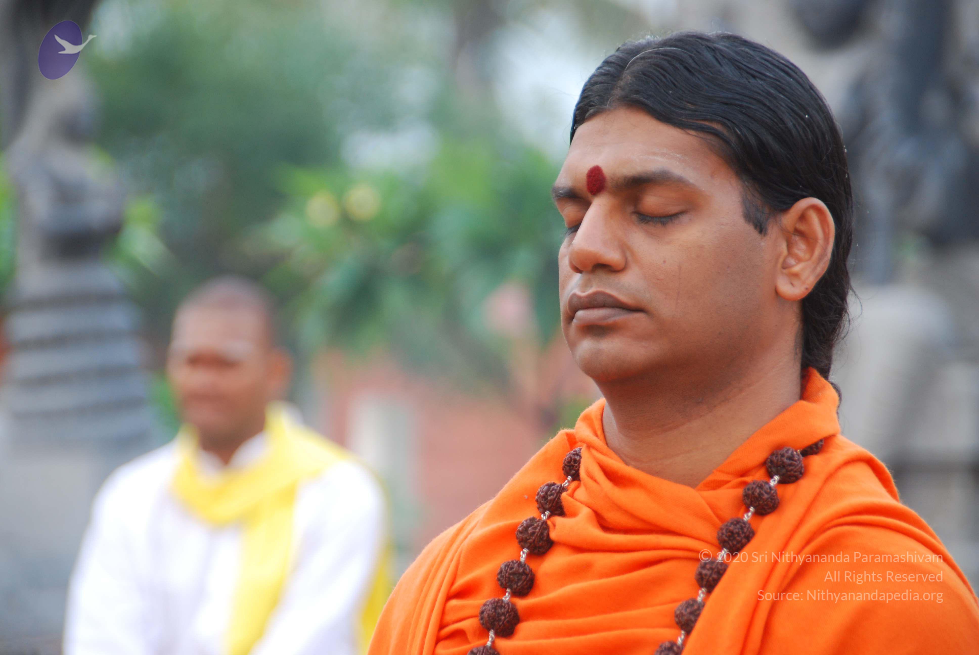 20100808_Photo_1000_DSC_9838_CMP_WM