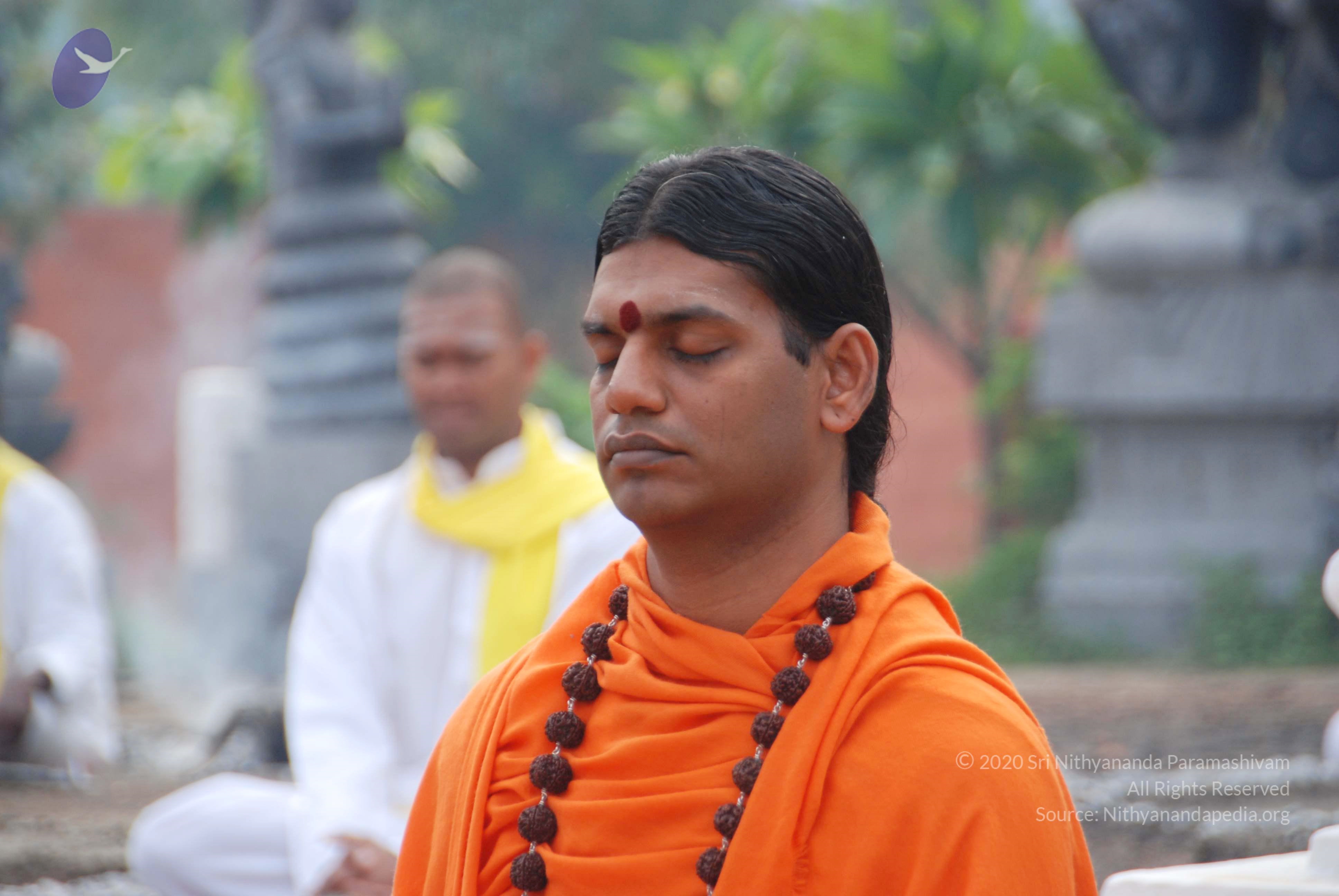 20100808_Photo_1002_DSC_9813_CMP_WM