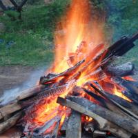 20100808_Photo_1030_DSC_9789_CMP_WM