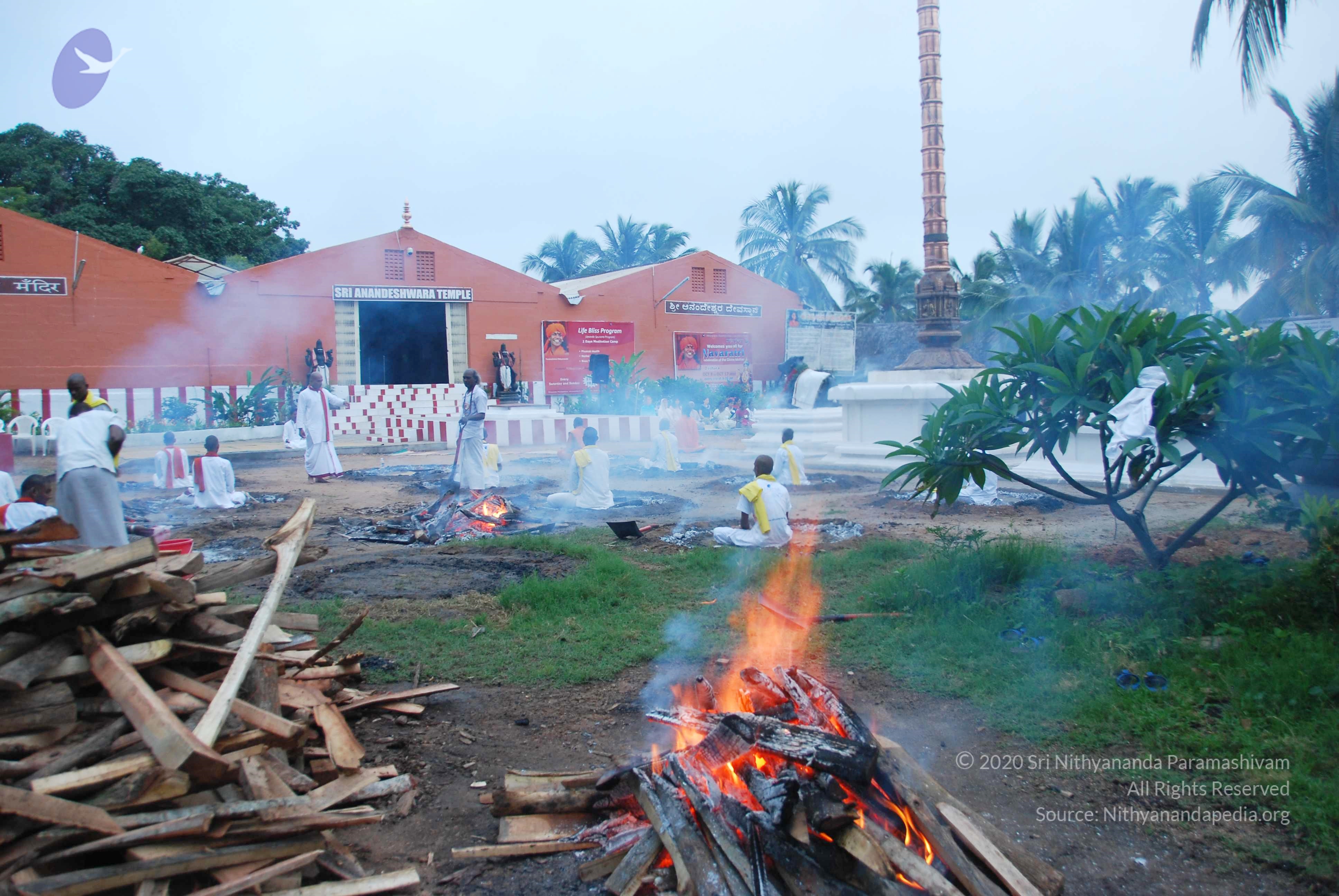 20100808_Photo_1031_DSC_9798_CMP_WM