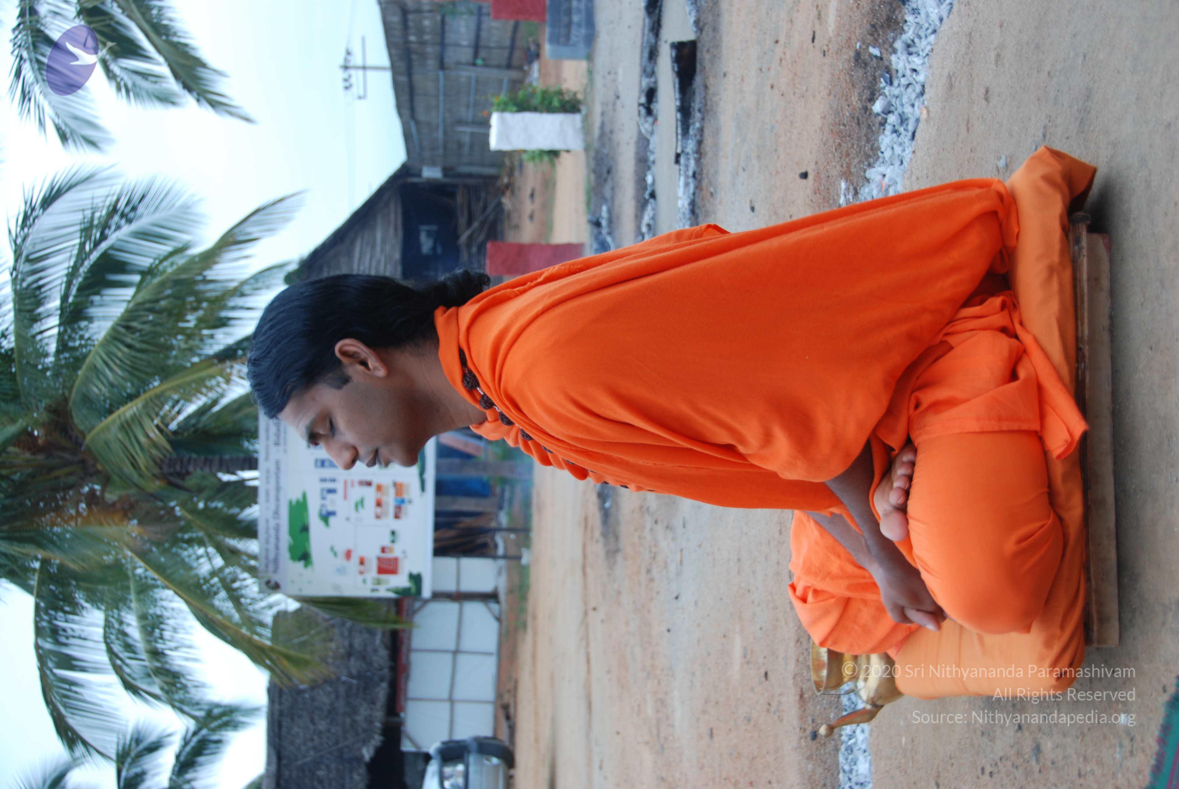 20100808_Photo_1032_DSC_9784_CMP_WM