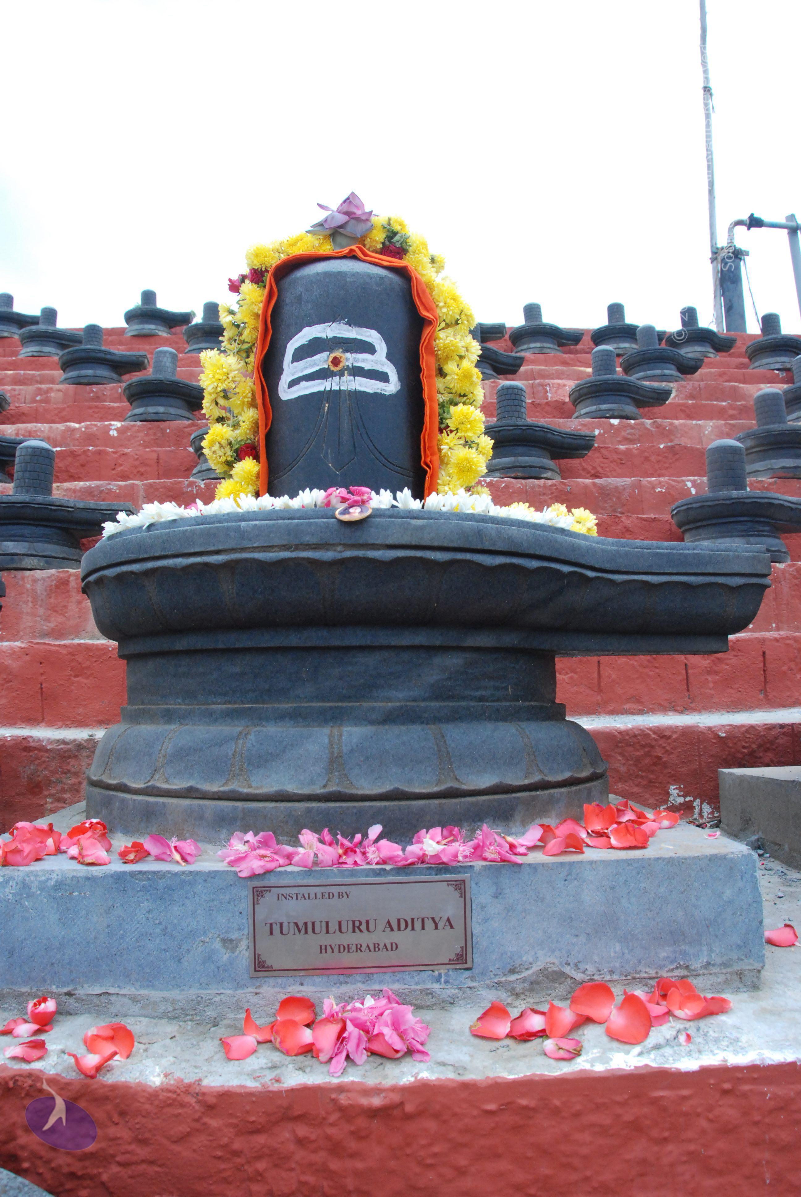 20100808_Photo_1000_DSC_7118_CMP_WM