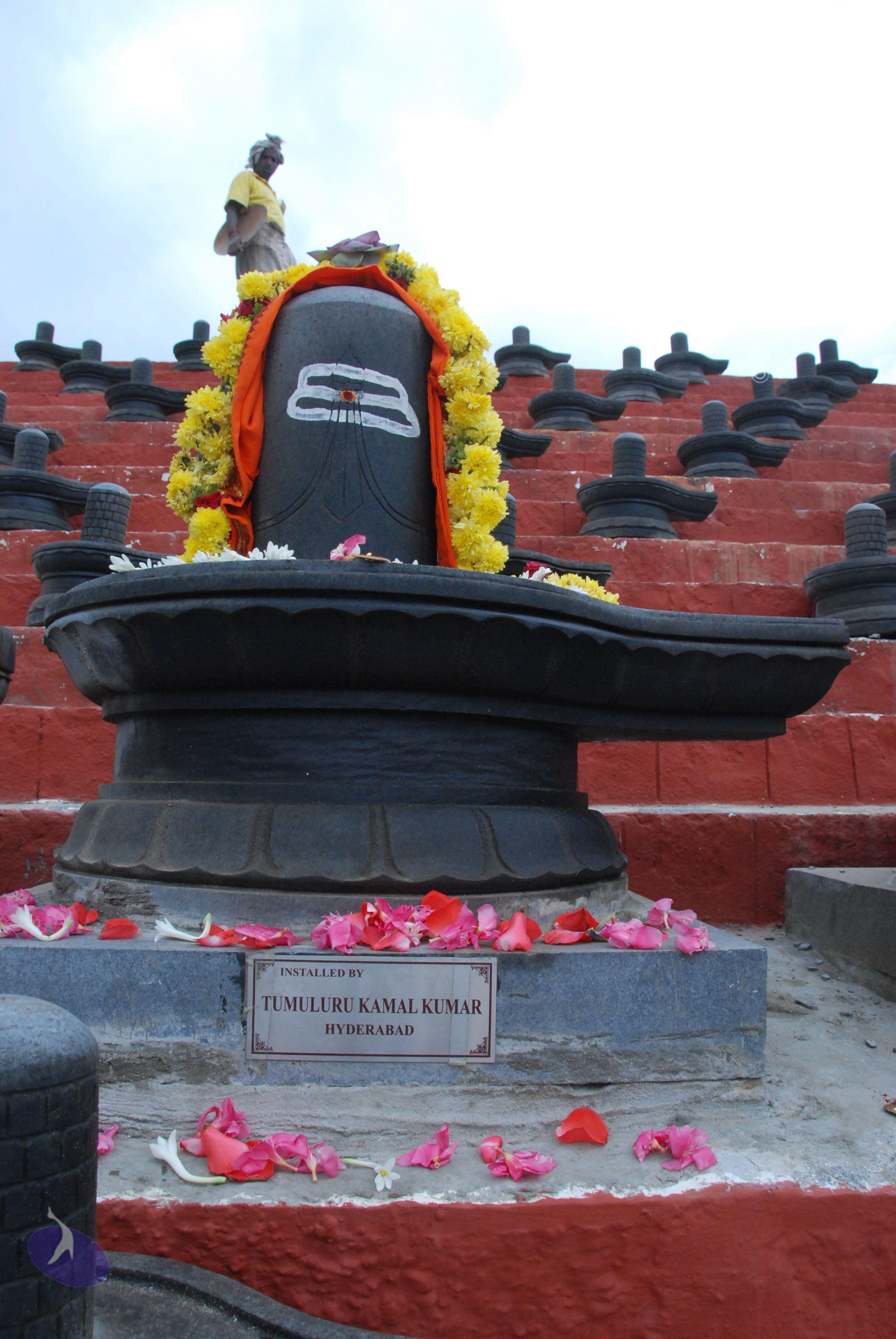 20100808_Photo_1009_DSC_7123_CMP_WM