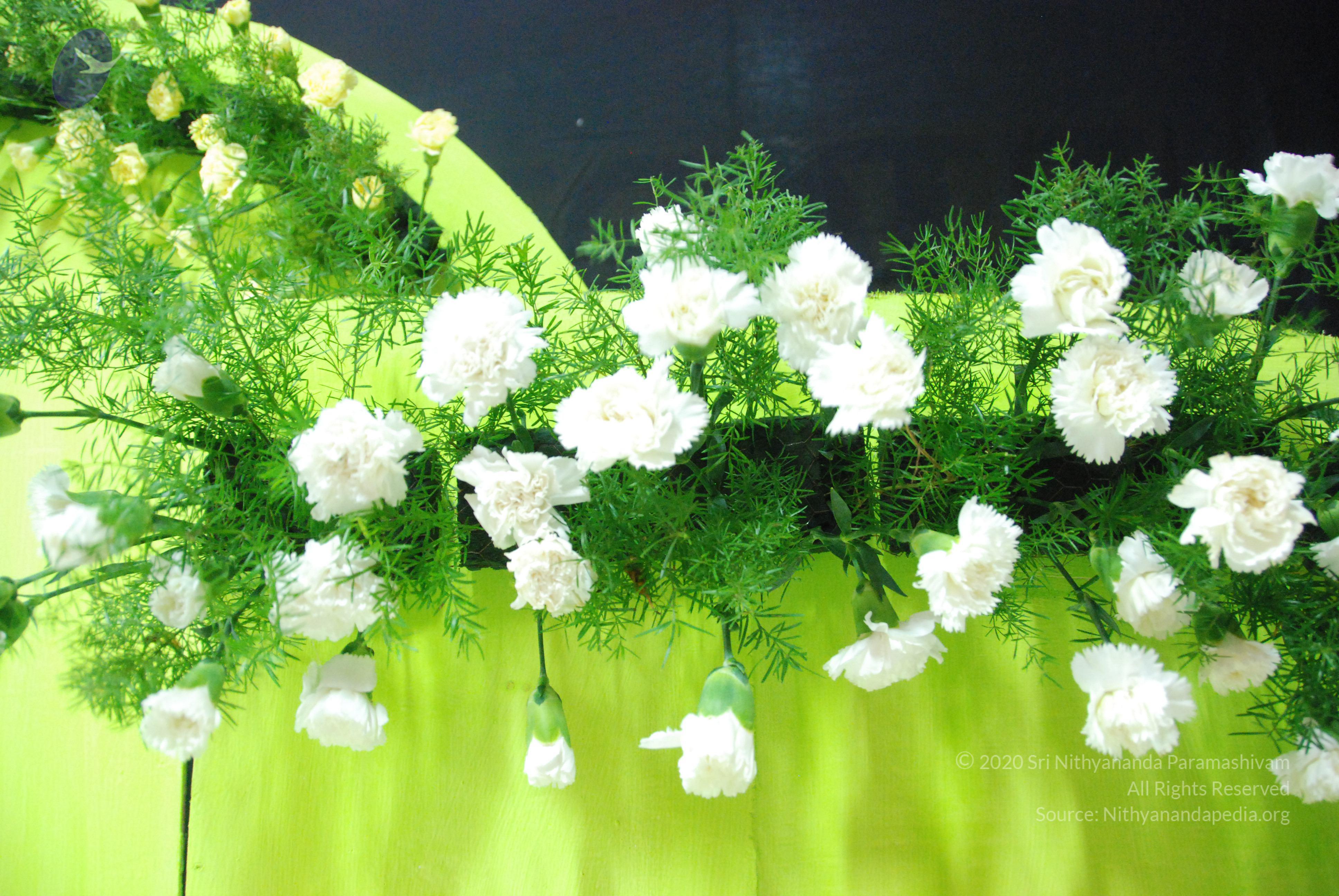 20100808_Photo_1004_DSC_6771_CMP_WM