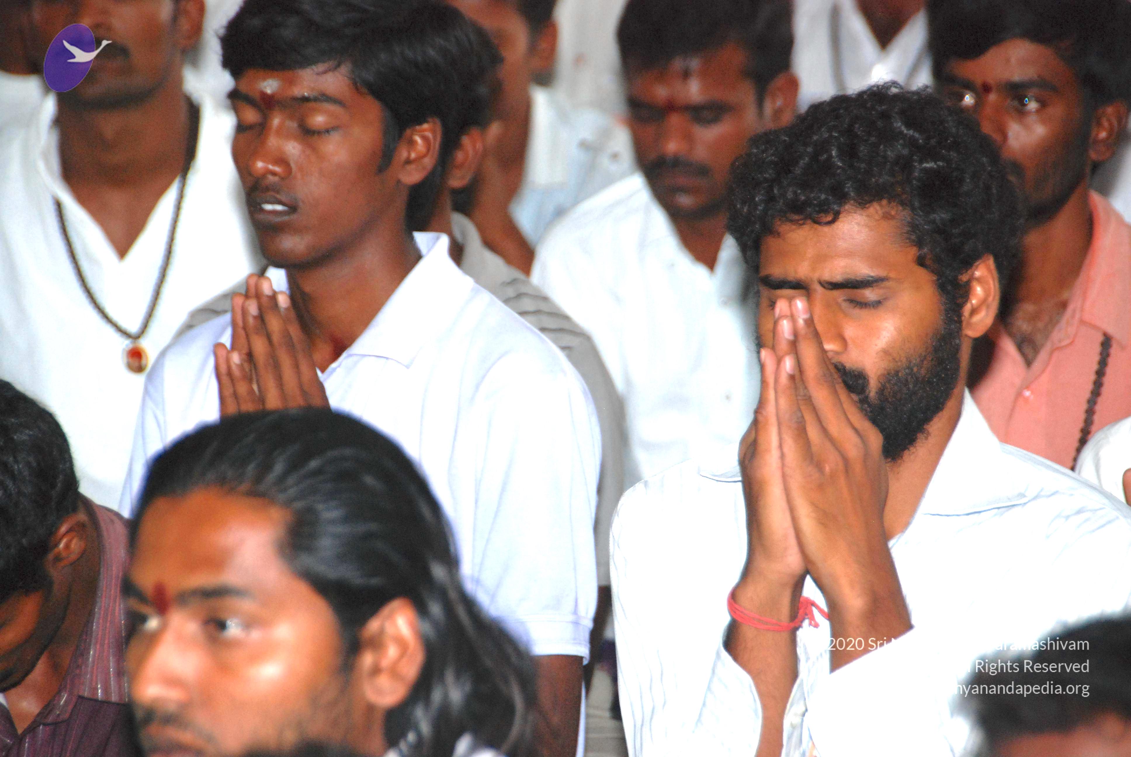 20100808_Photo_1038_DSC_6753_CMP_WM