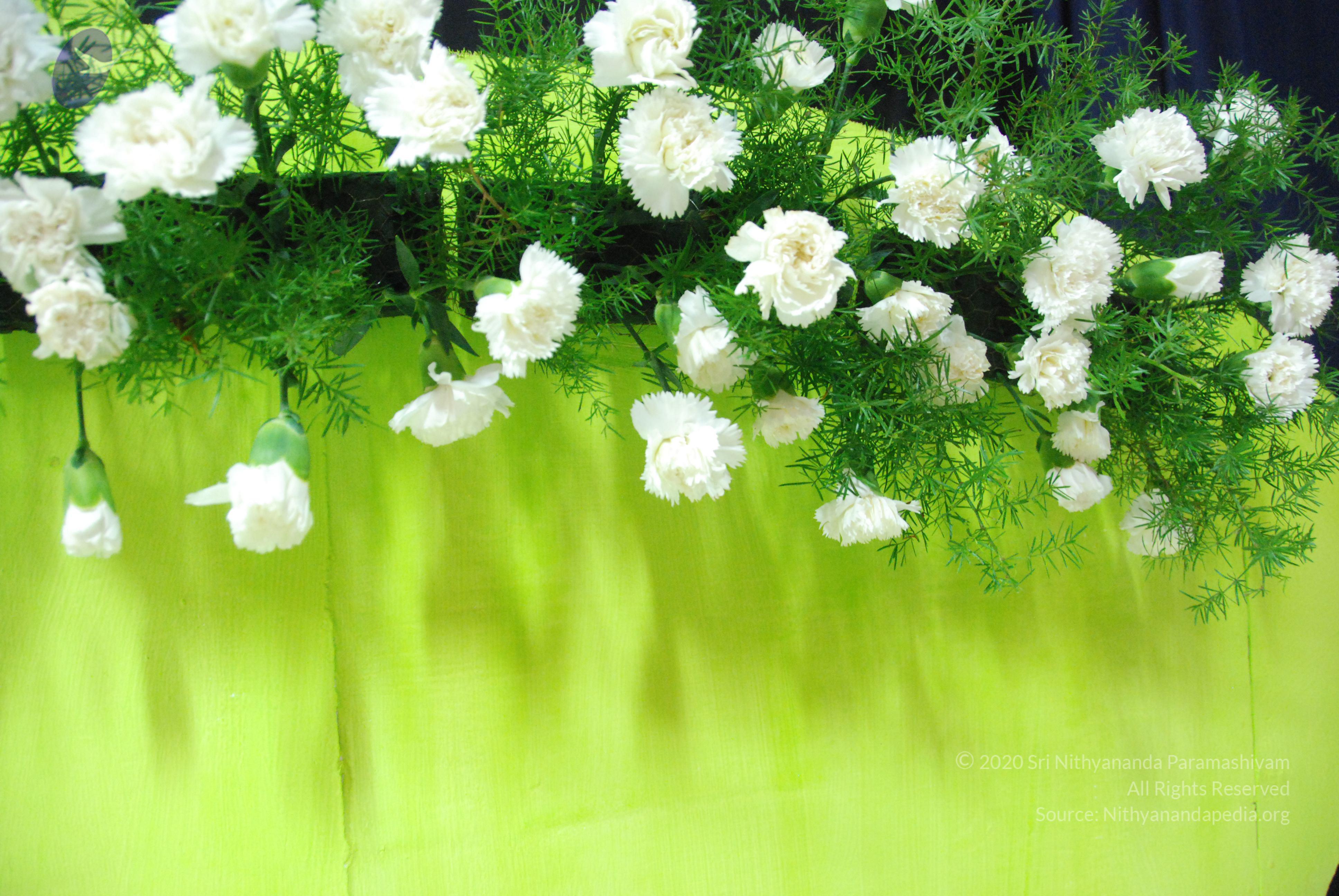 20100808_Photo_1051_DSC_6770_CMP_WM