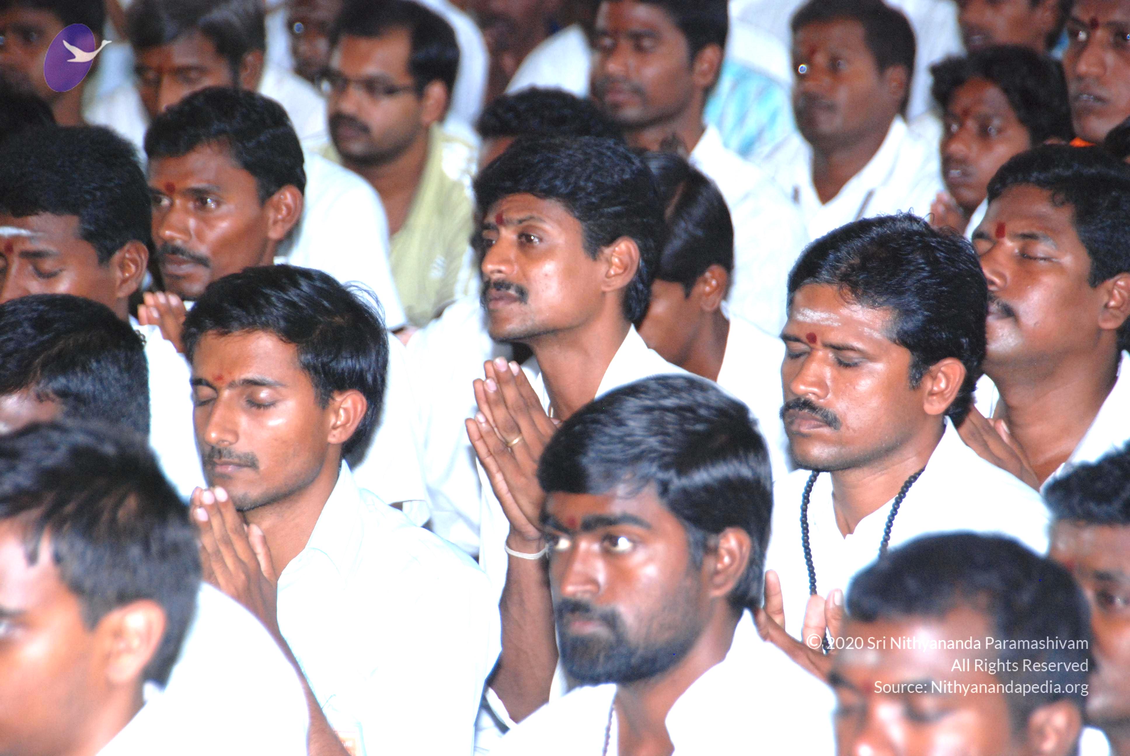 20100808_Photo_1072_DSC_6754_CMP_WM