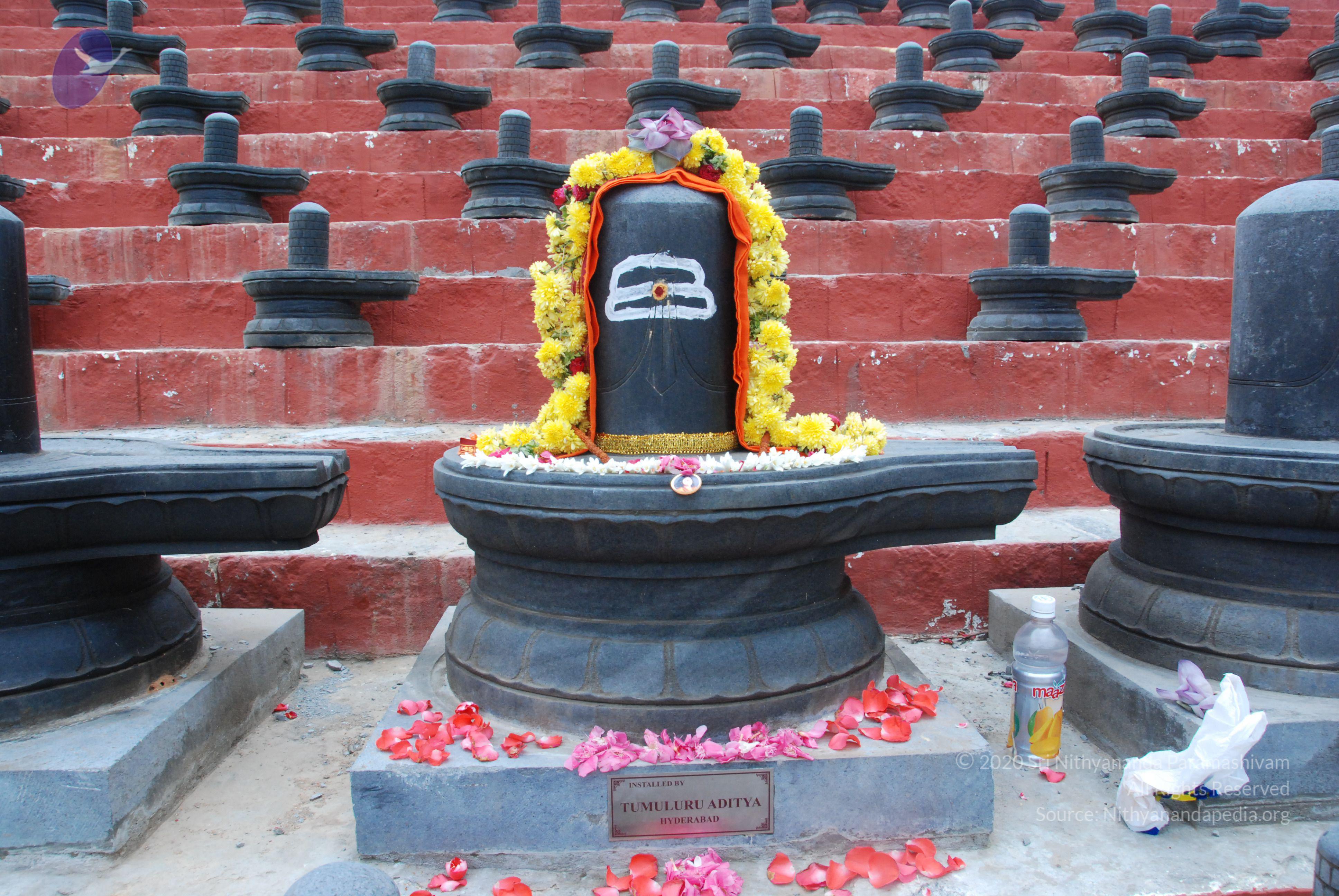 20100808_Photo_1001_DSC_7115_CMP_WM