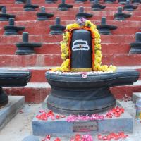 20100808_Photo_1001_DSC_7115_CMP_WM