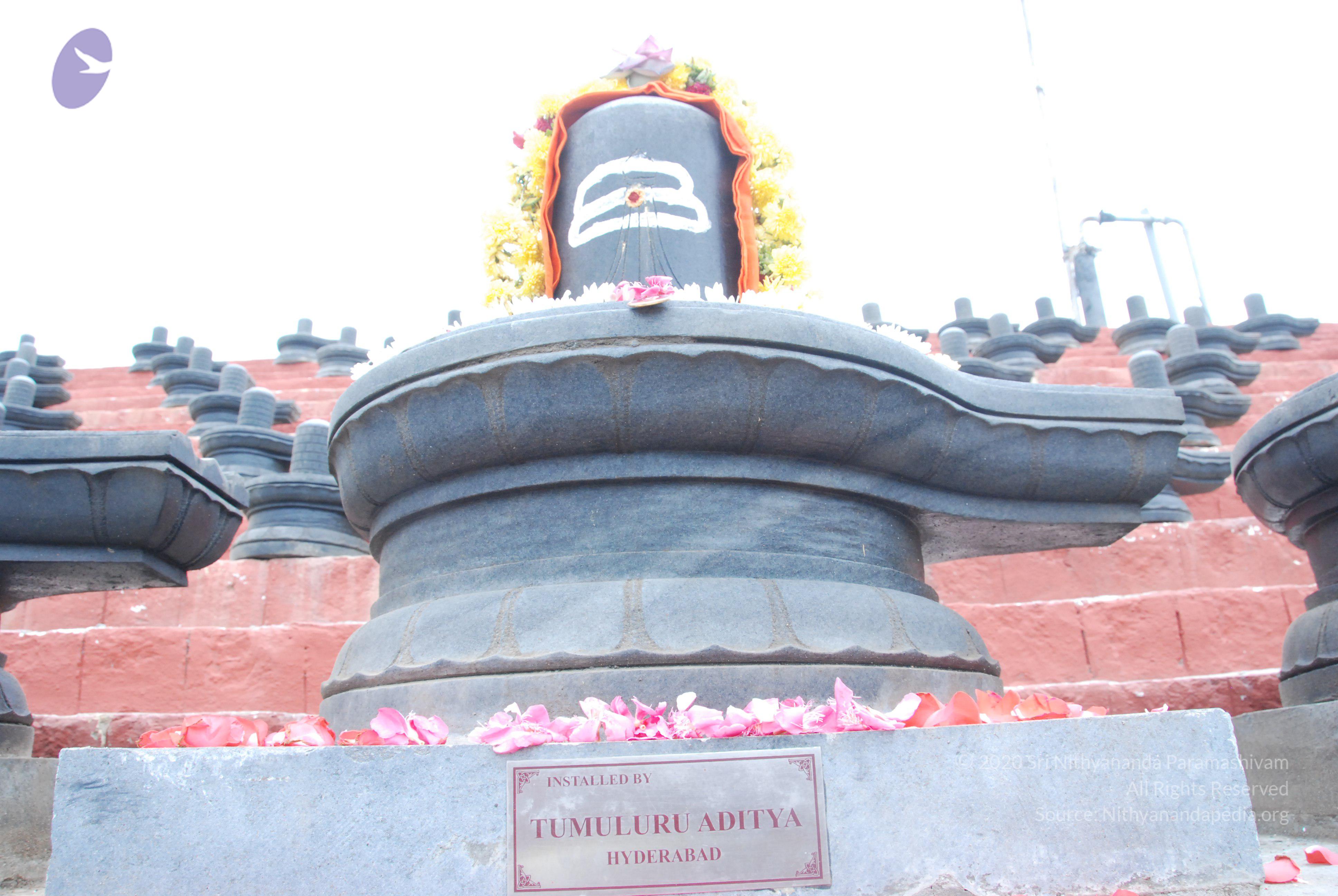 20100808_Photo_1004_DSC_7120_CMP_WM