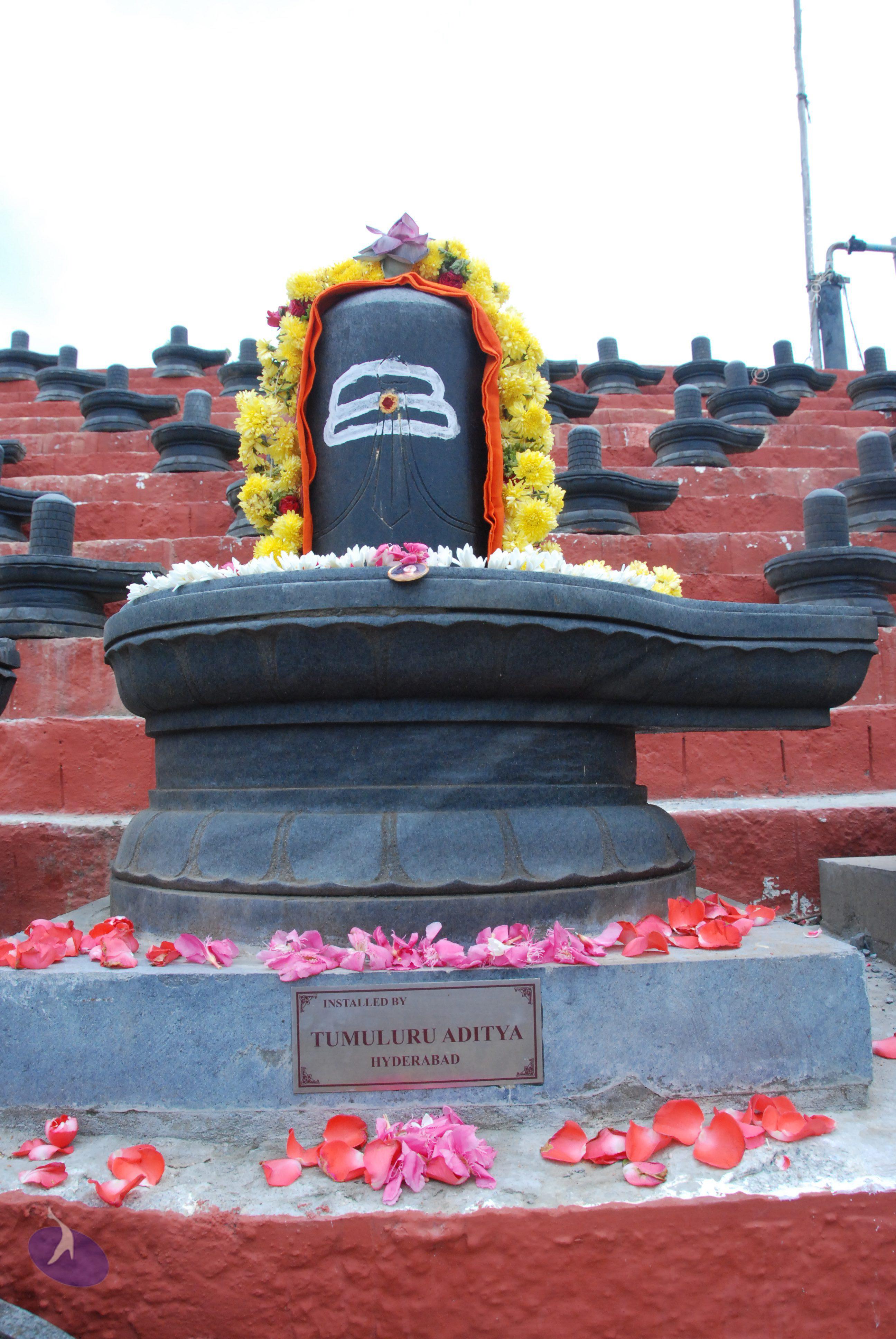 20100808_Photo_1005_DSC_7117_CMP_WM