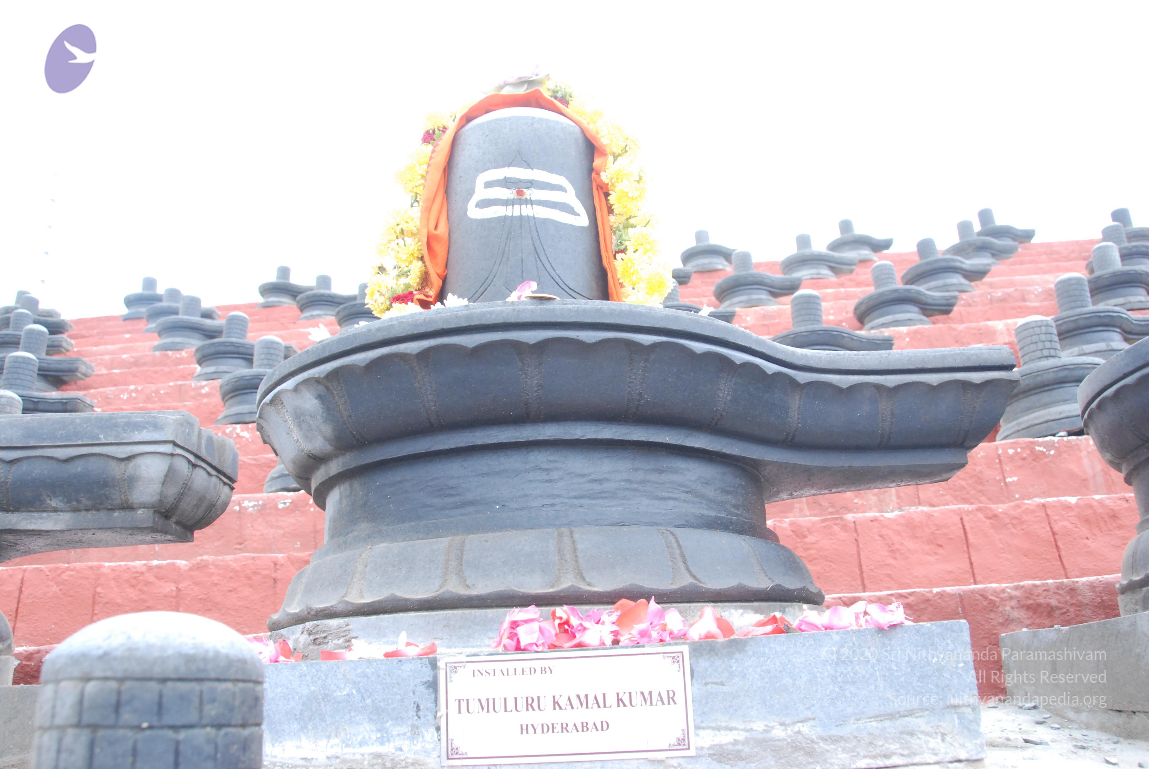 20100808_Photo_1006_DSC_7125_CMP_WM