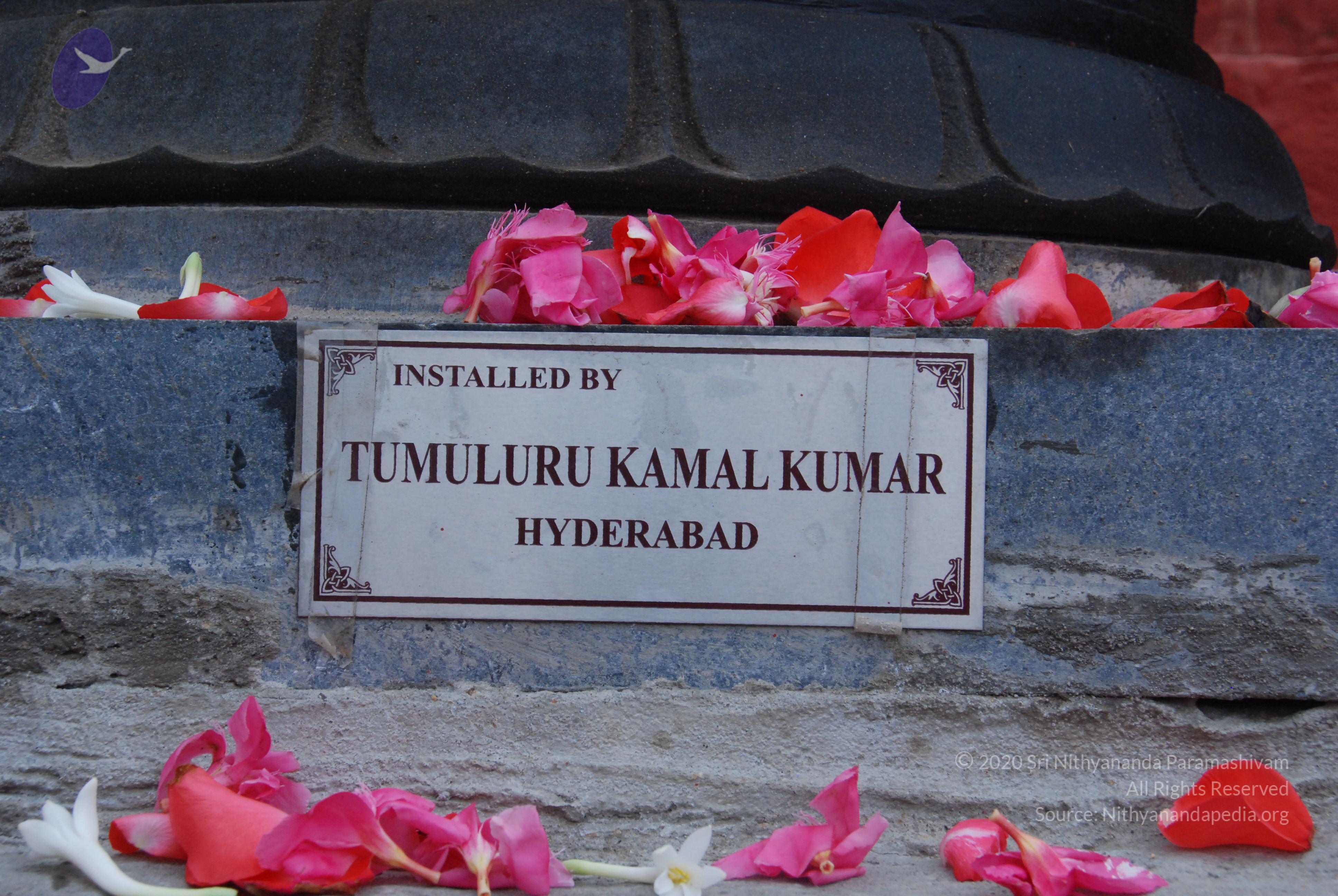 20100808_Photo_1007_DSC_7126_CMP_WM