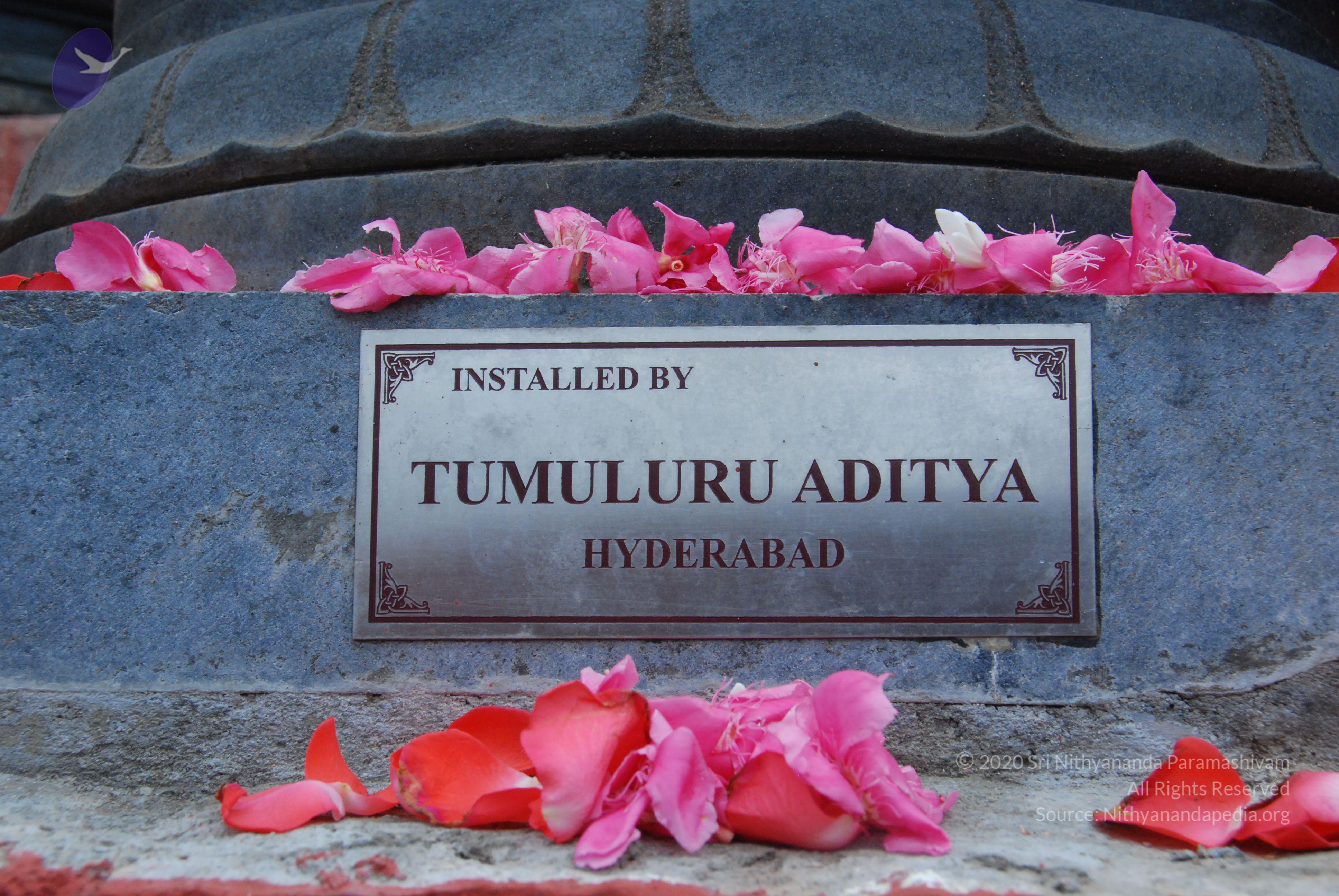 20100808_Photo_1008_DSC_7119_CMP_WM