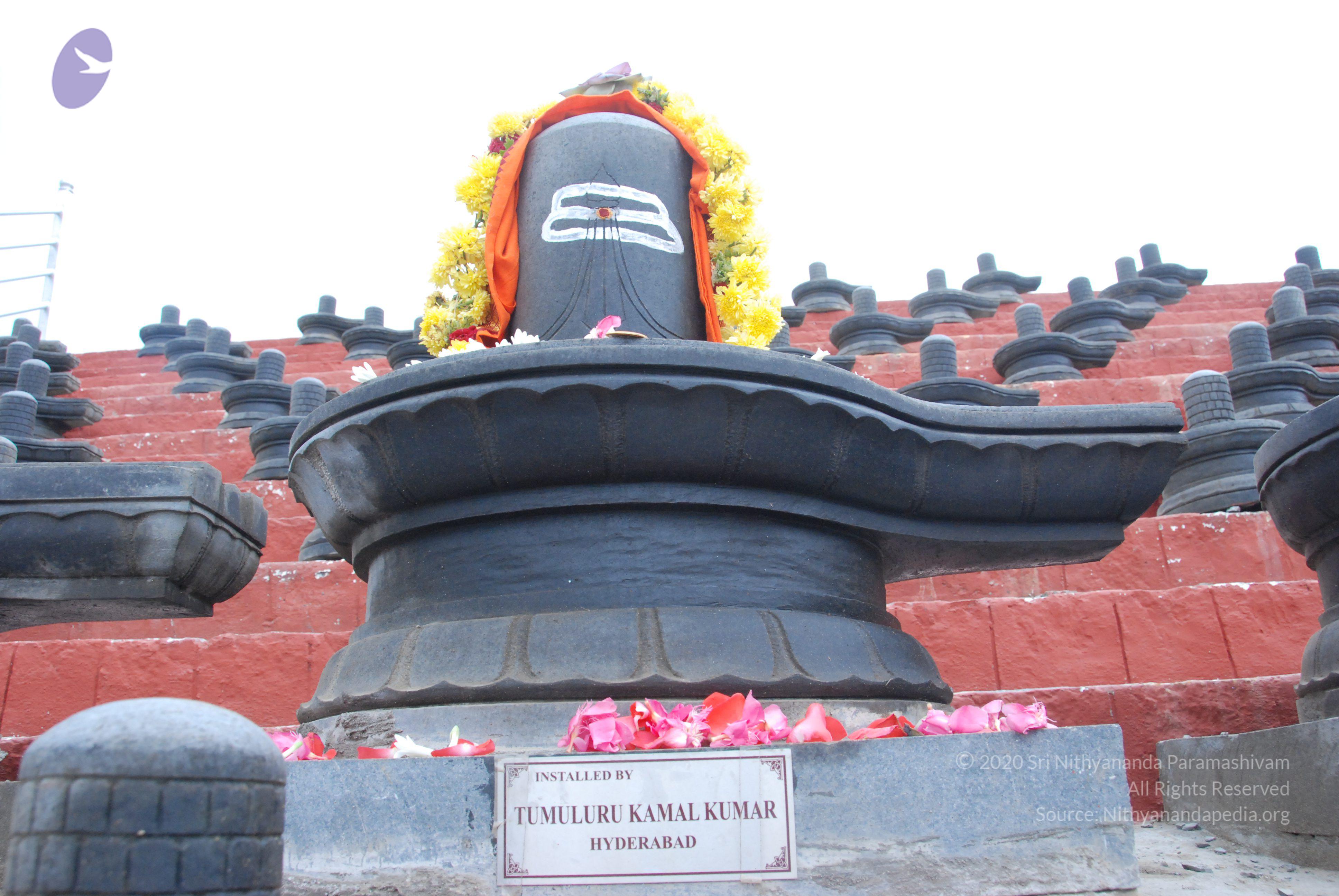 20100808_Photo_1010_DSC_7124_CMP_WM