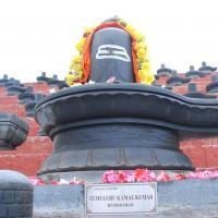 20100808_Photo_1010_DSC_7124_CMP_WM