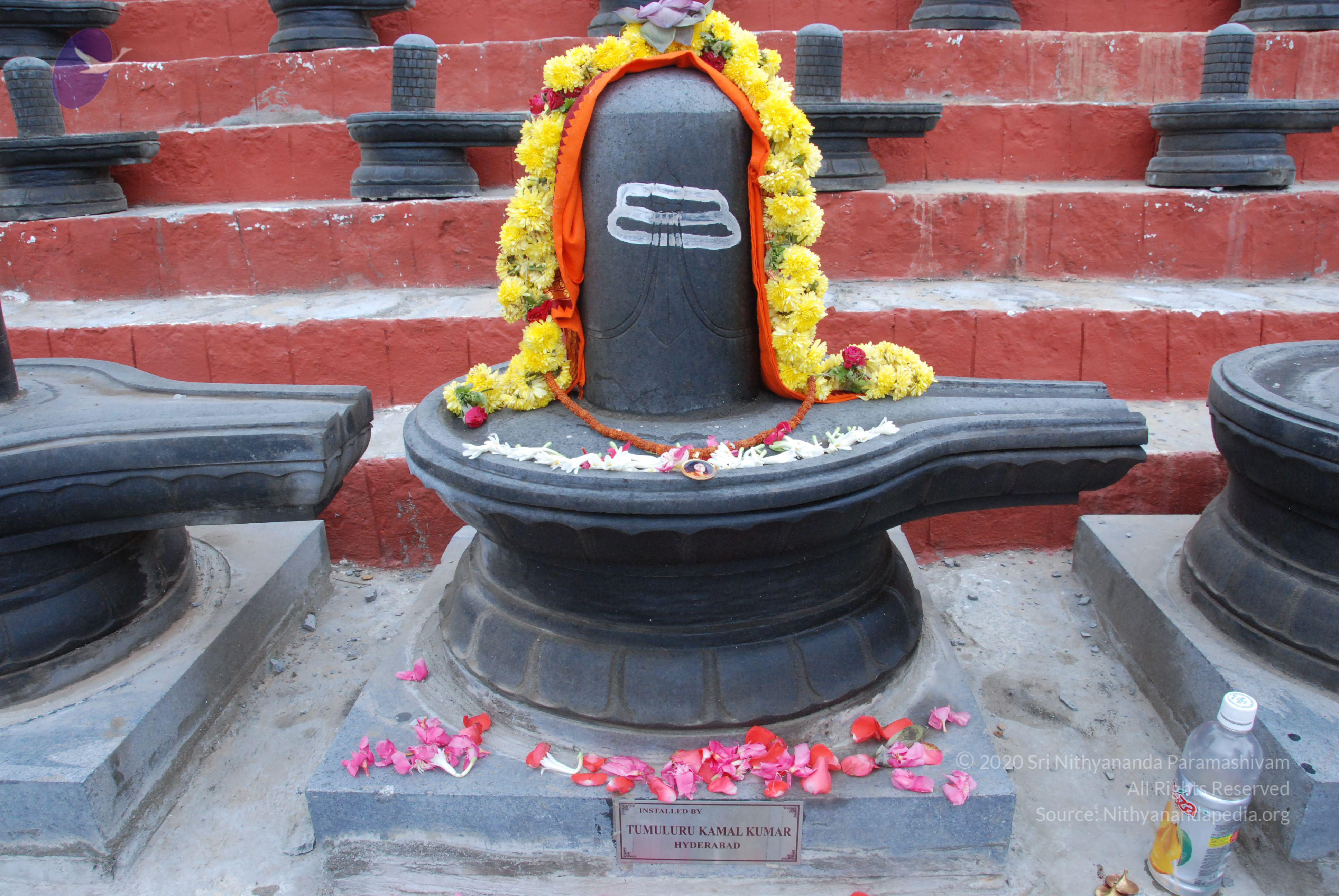 20100808_Photo_1011_DSC_7121_CMP_WM