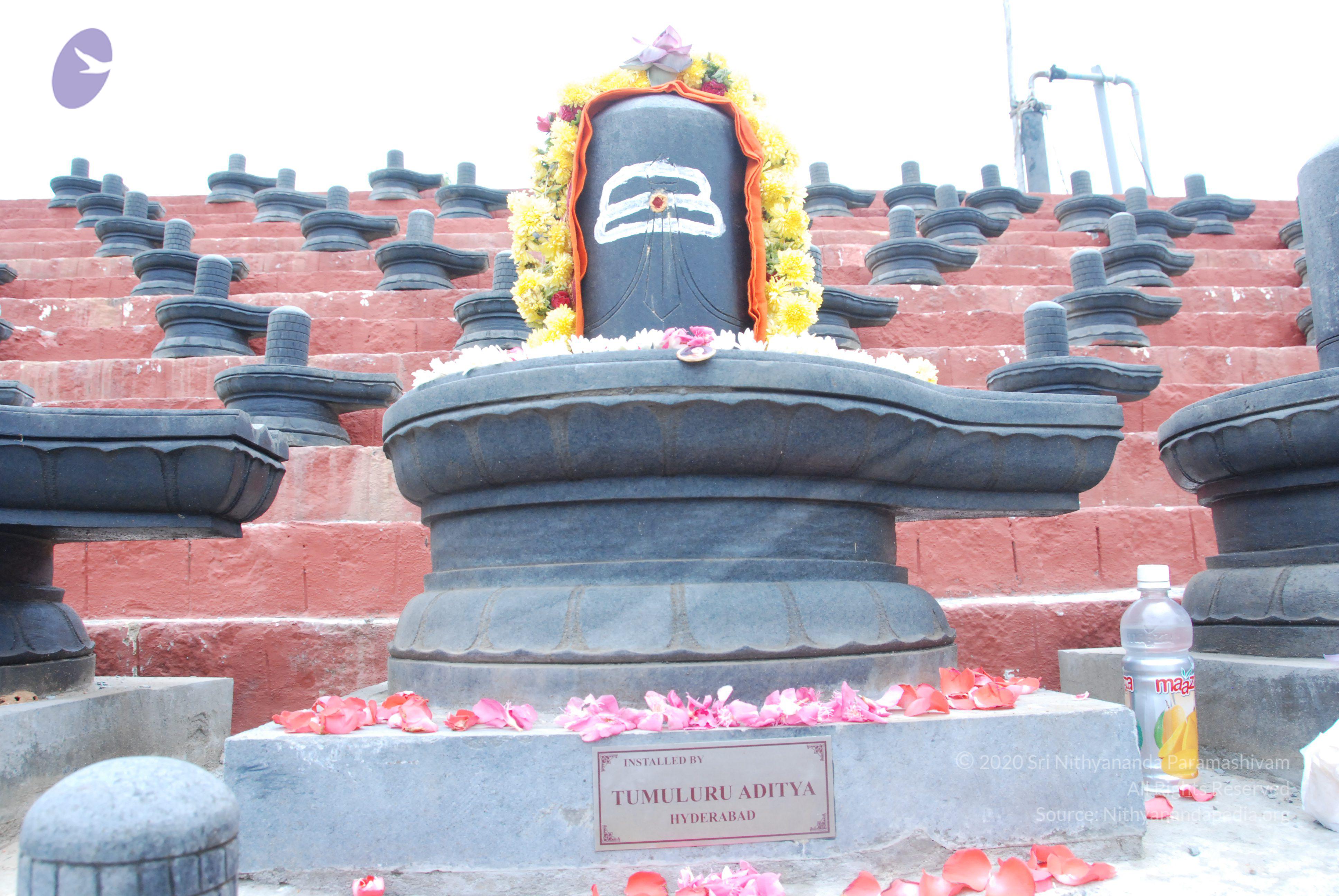 20100808_Photo_1012_DSC_7116_CMP_WM