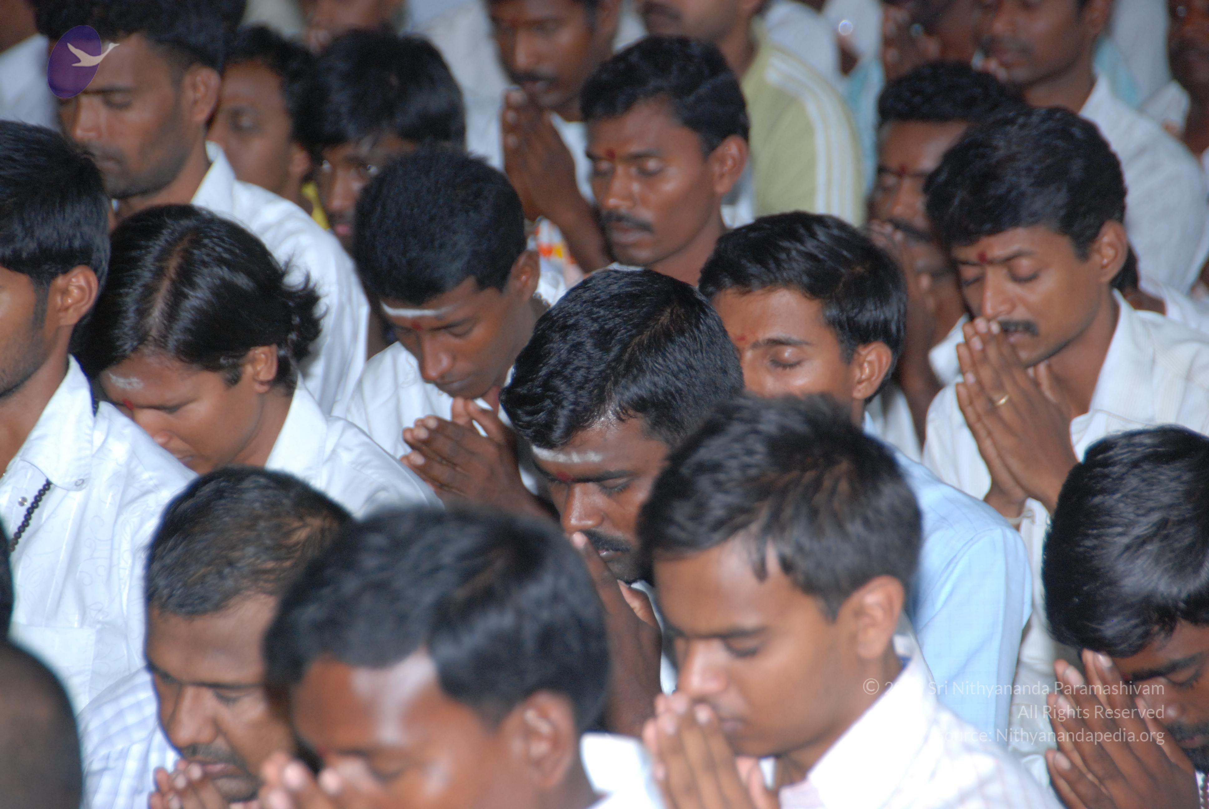 20100808_Photo_1011_DSC_6752_CMP_WM