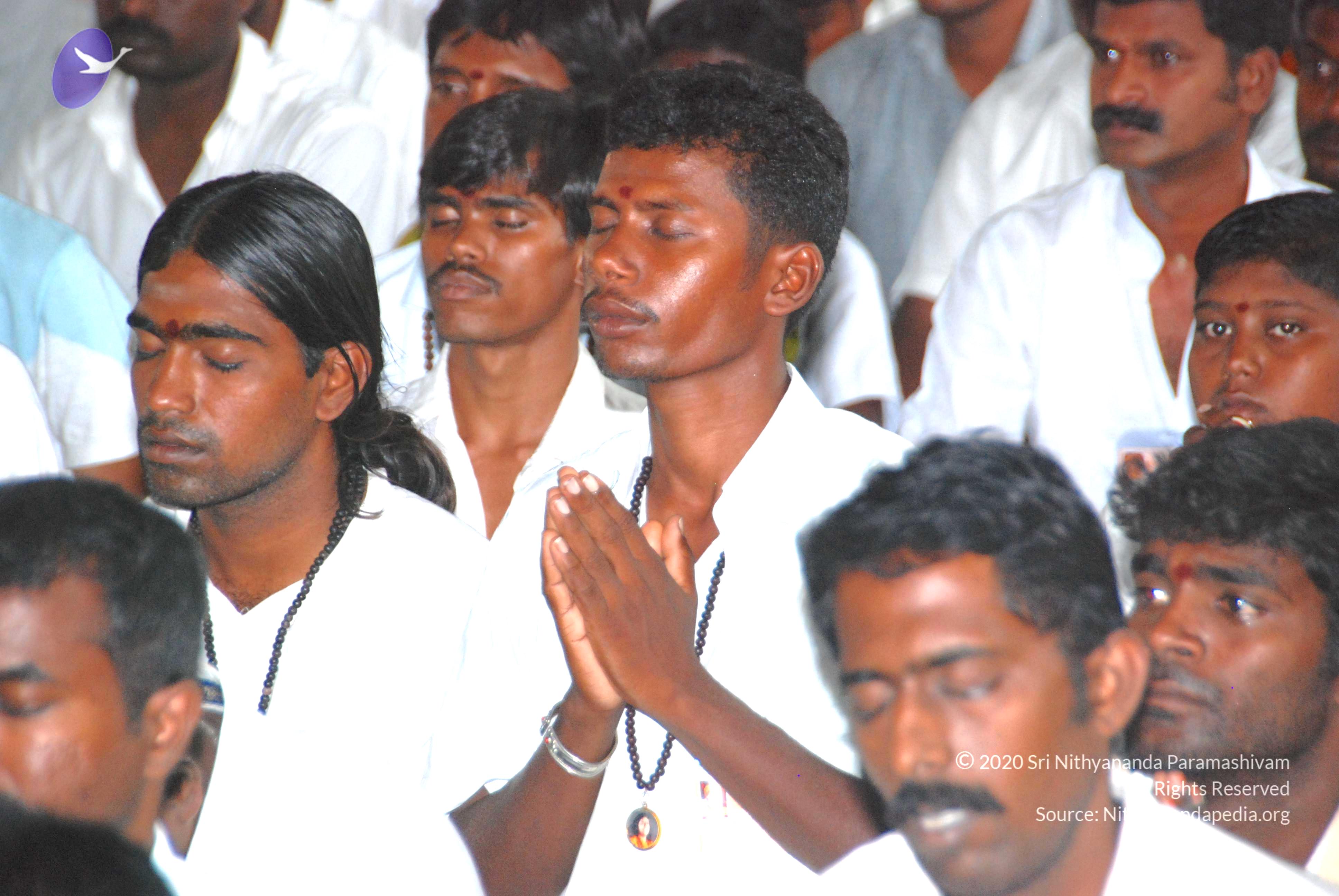 20100808_Photo_1052_DSC_6761_CMP_WM