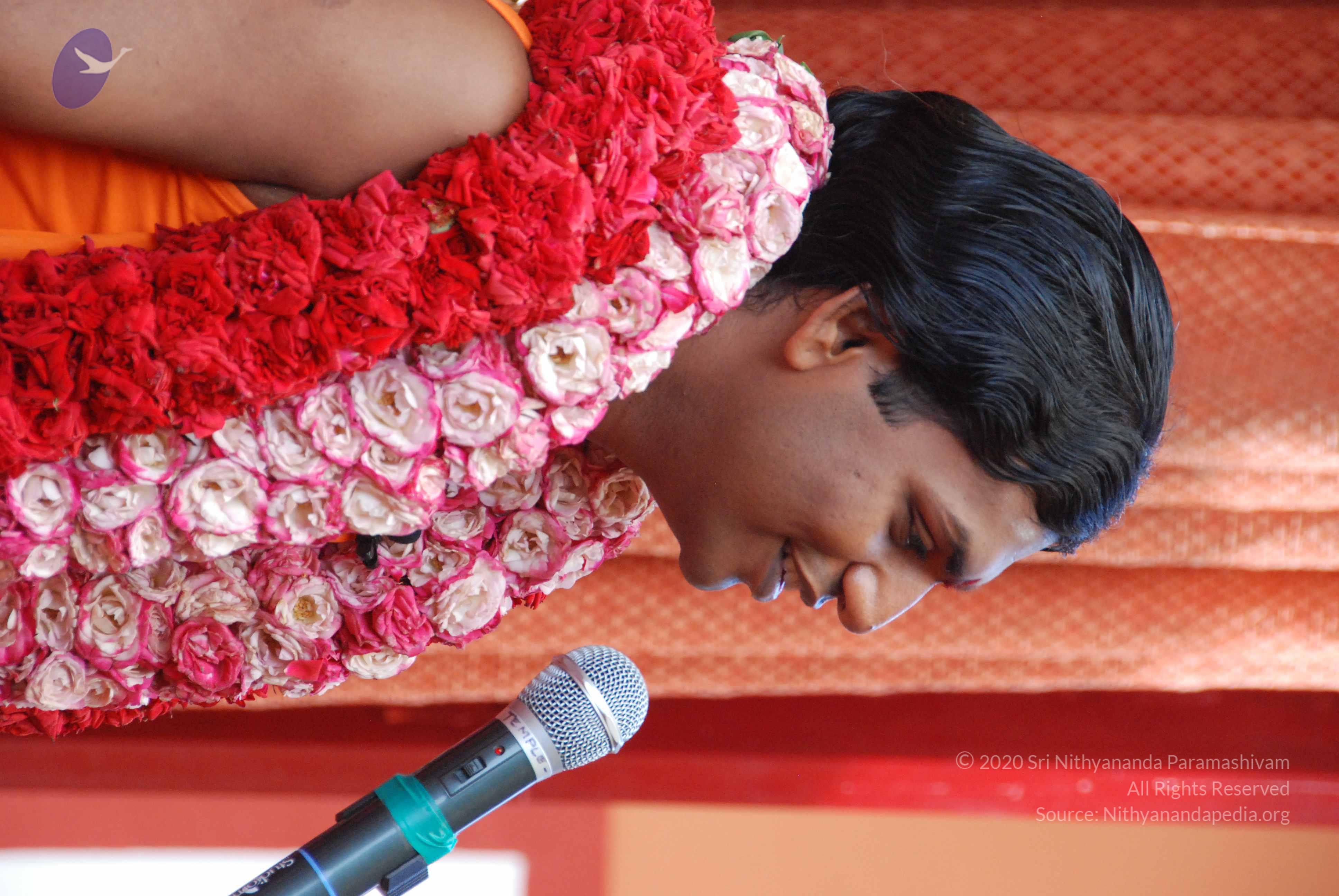 20100821_Photo_1001_DSC_6186_CMP_WM