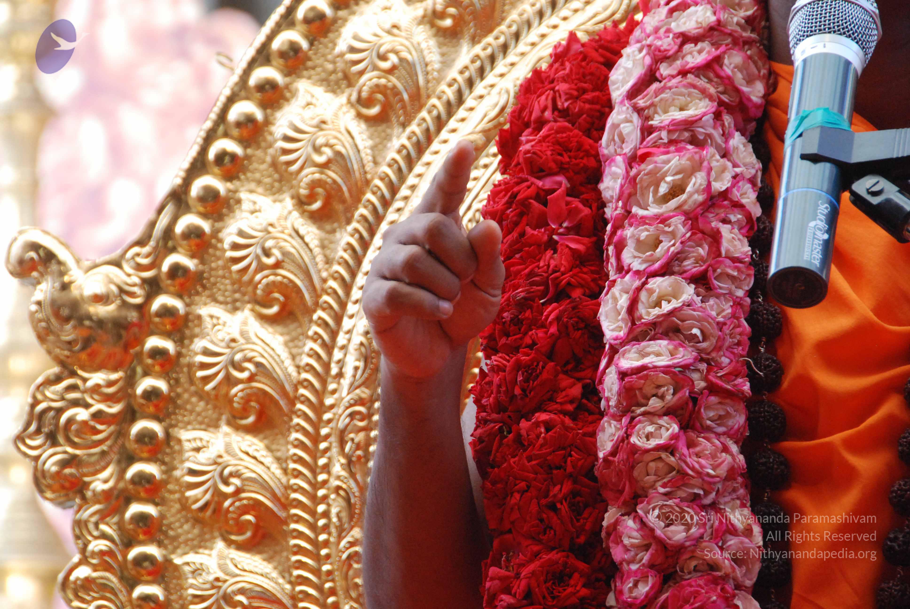 20100821_Photo_1003_DSC_6165_CMP_WM