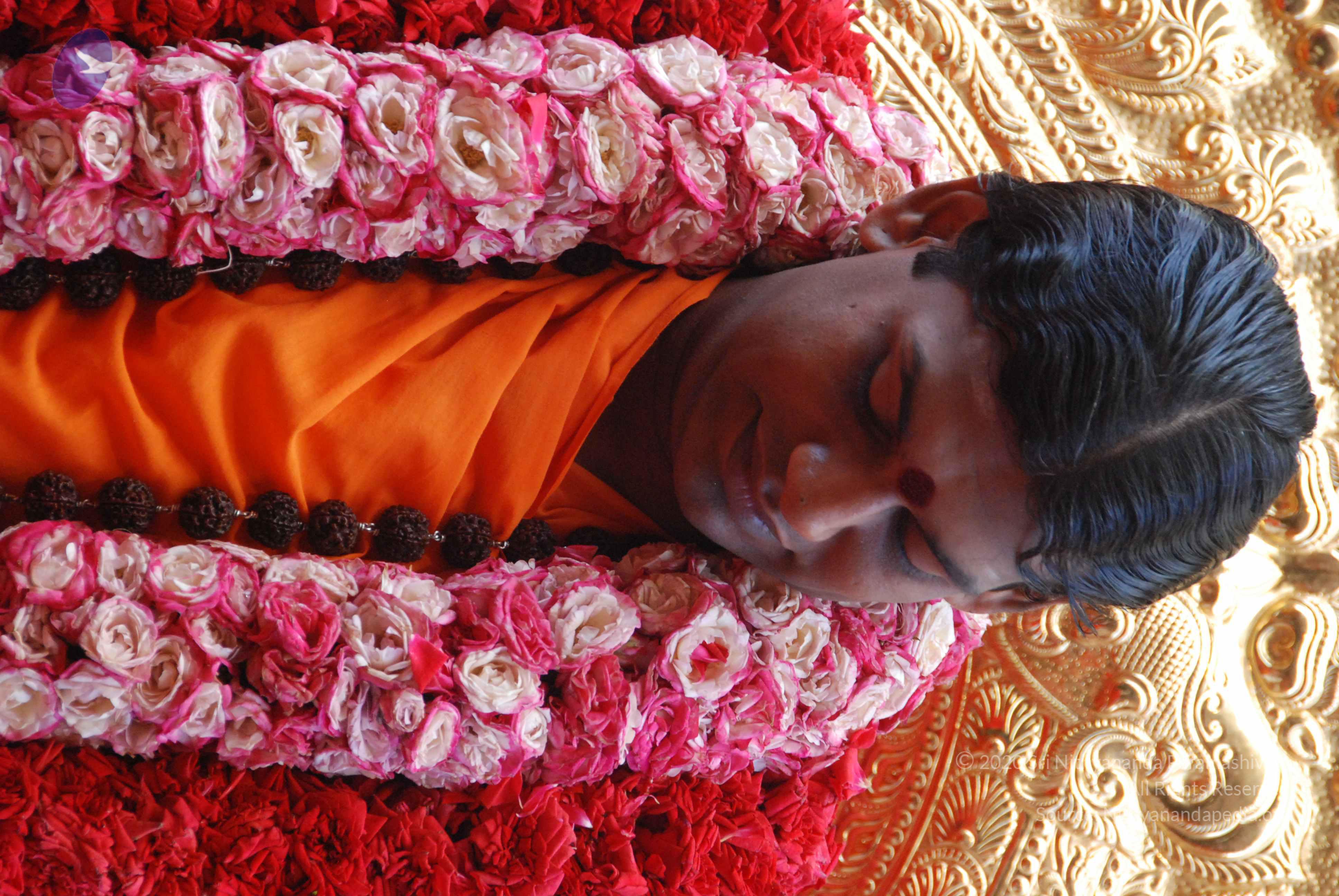 20100821_Photo_1007_DSC_6146_CMP_WM