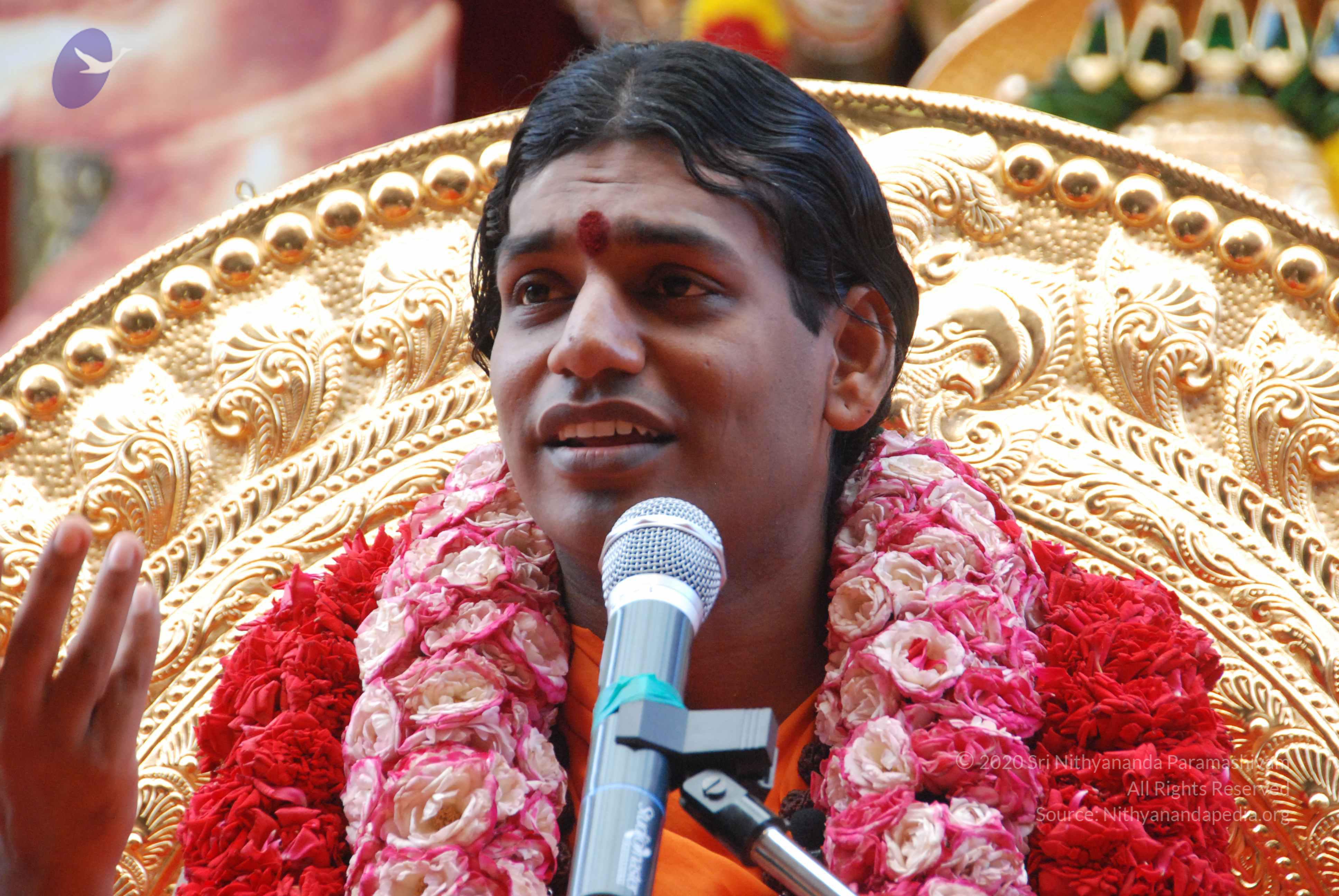 20100821_Photo_1011_DSC_6183_CMP_WM