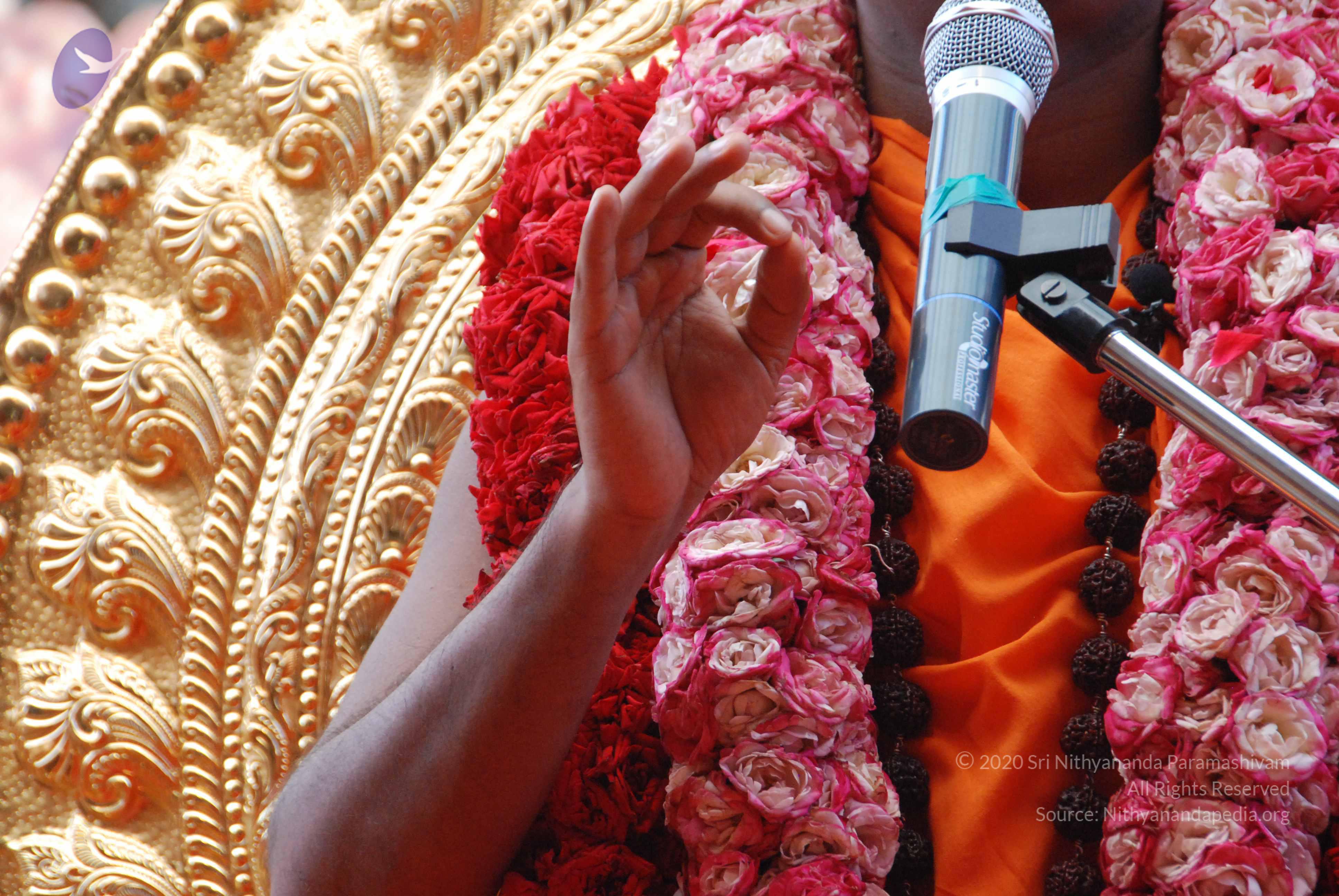 20100821_Photo_1012_DSC_6160_CMP_WM