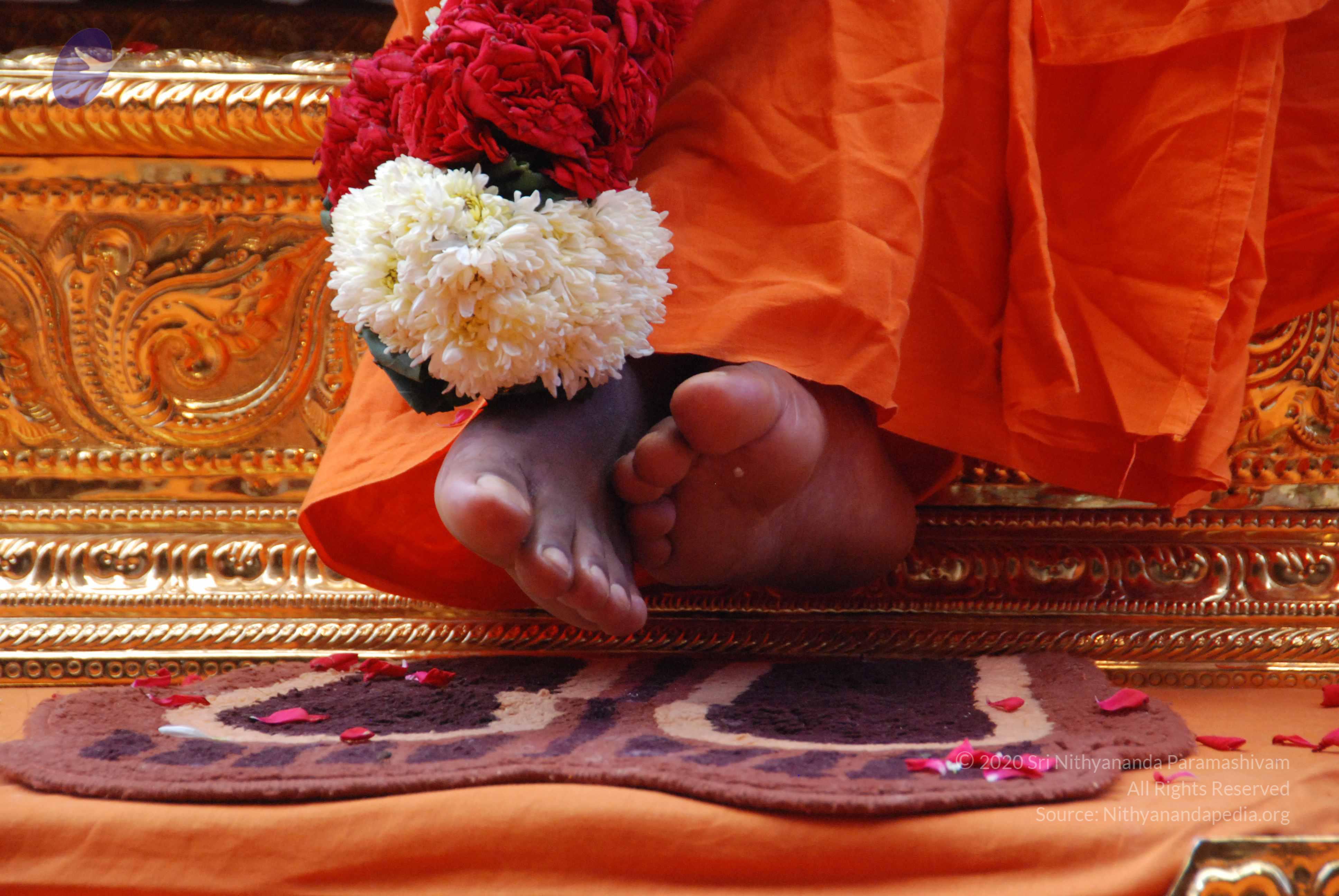 20100821_Photo_1016_DSC_6184_CMP_WM