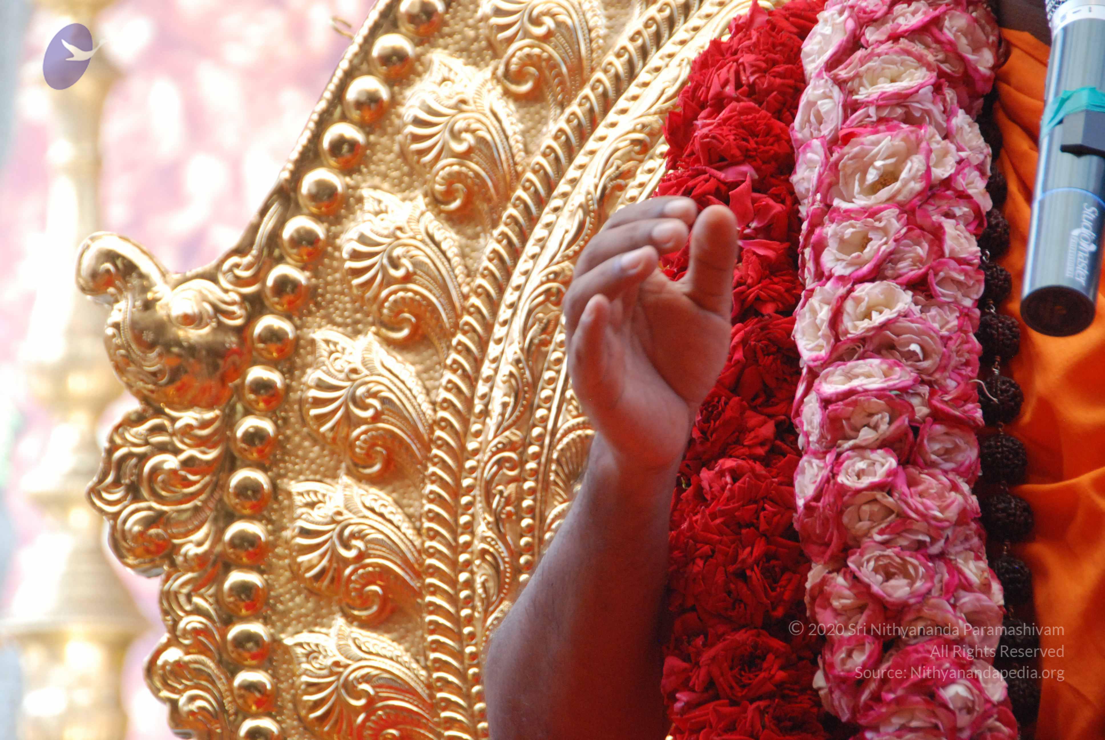 20100821_Photo_1022_DSC_6158_CMP_WM