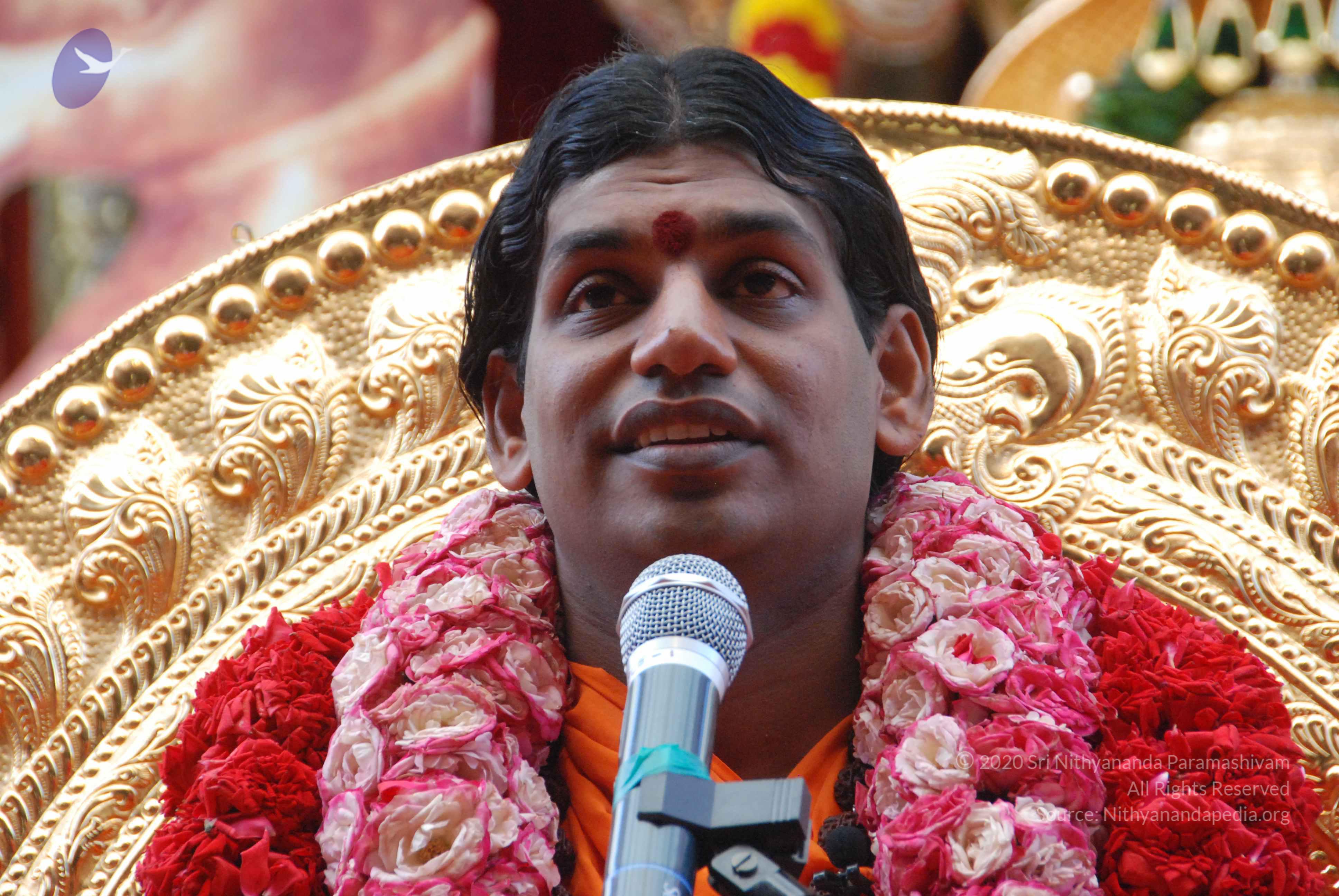 20100821_Photo_1026_DSC_6162_CMP_WM