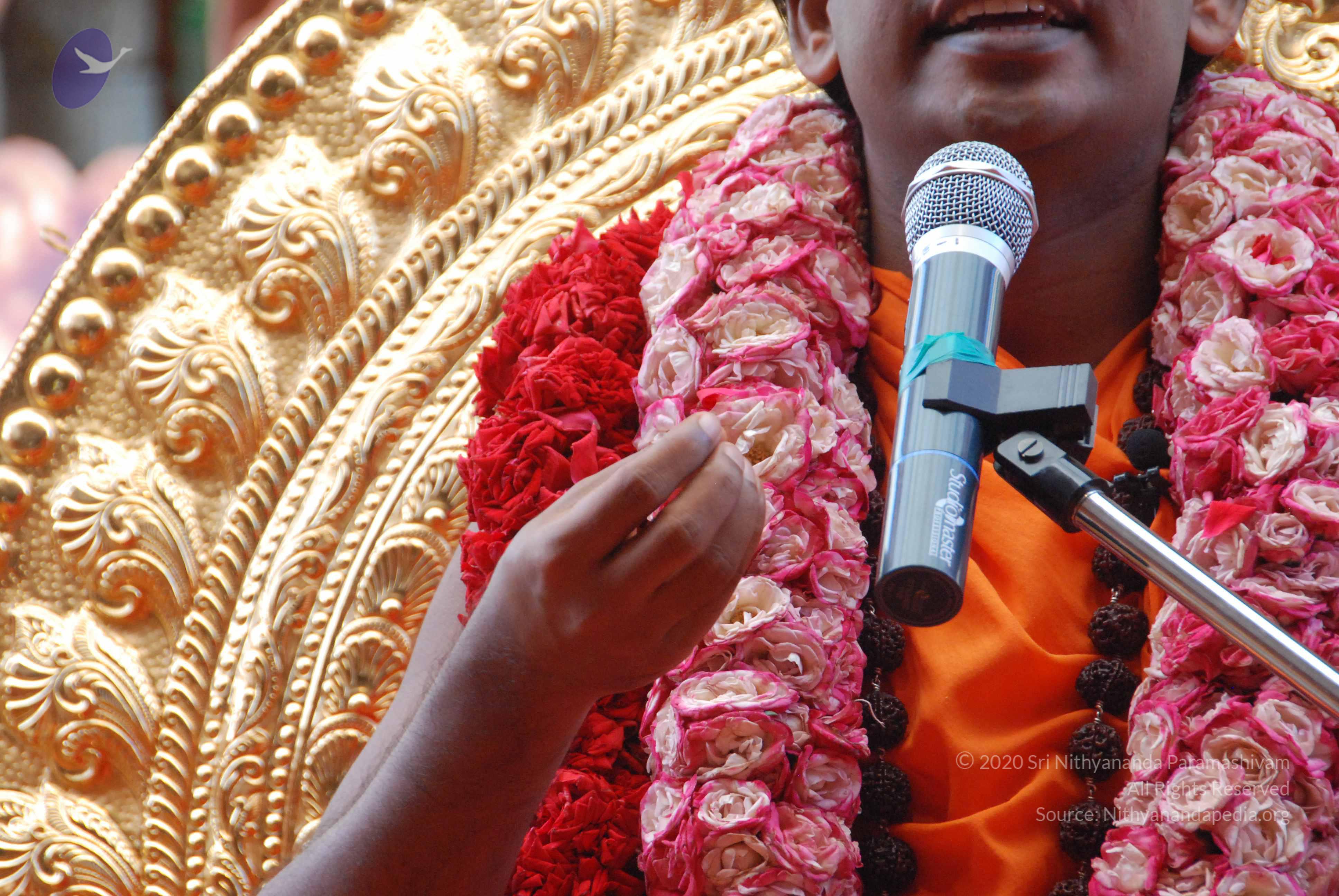 20100821_Photo_1031_DSC_6161_CMP_WM