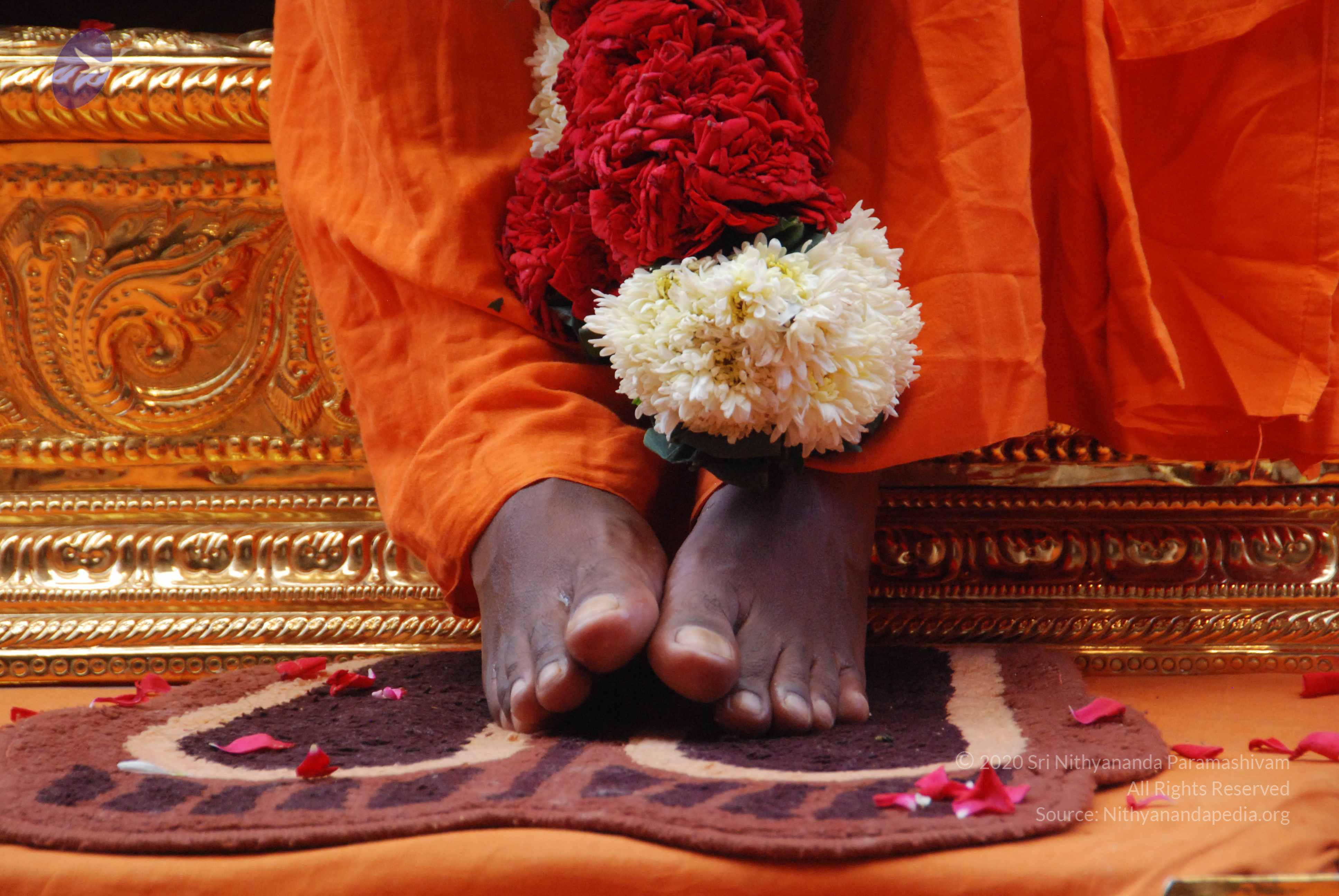 20100821_Photo_1032_DSC_6156_CMP_WM