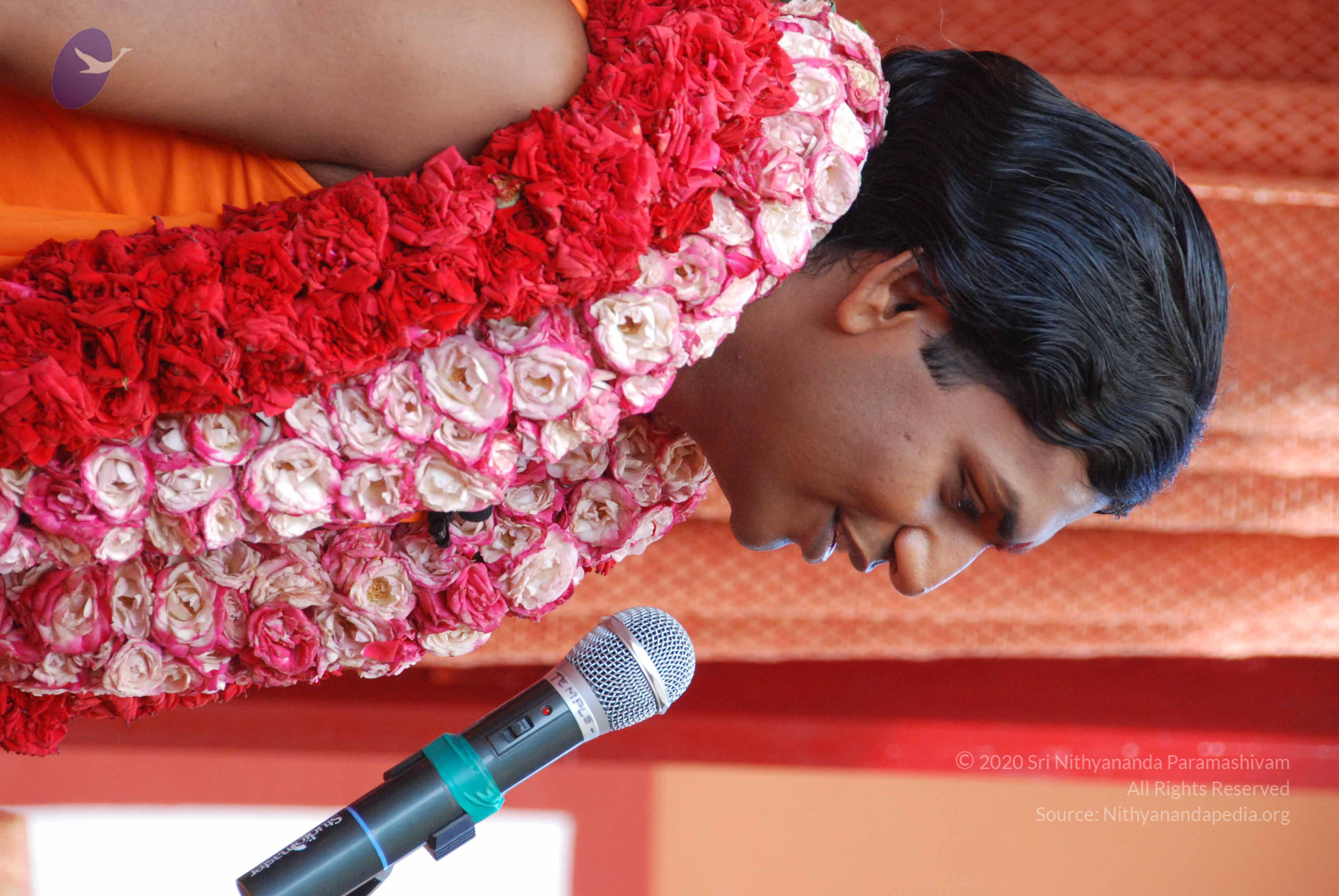 20100821_Photo_1033_DSC_6187_CMP_WM