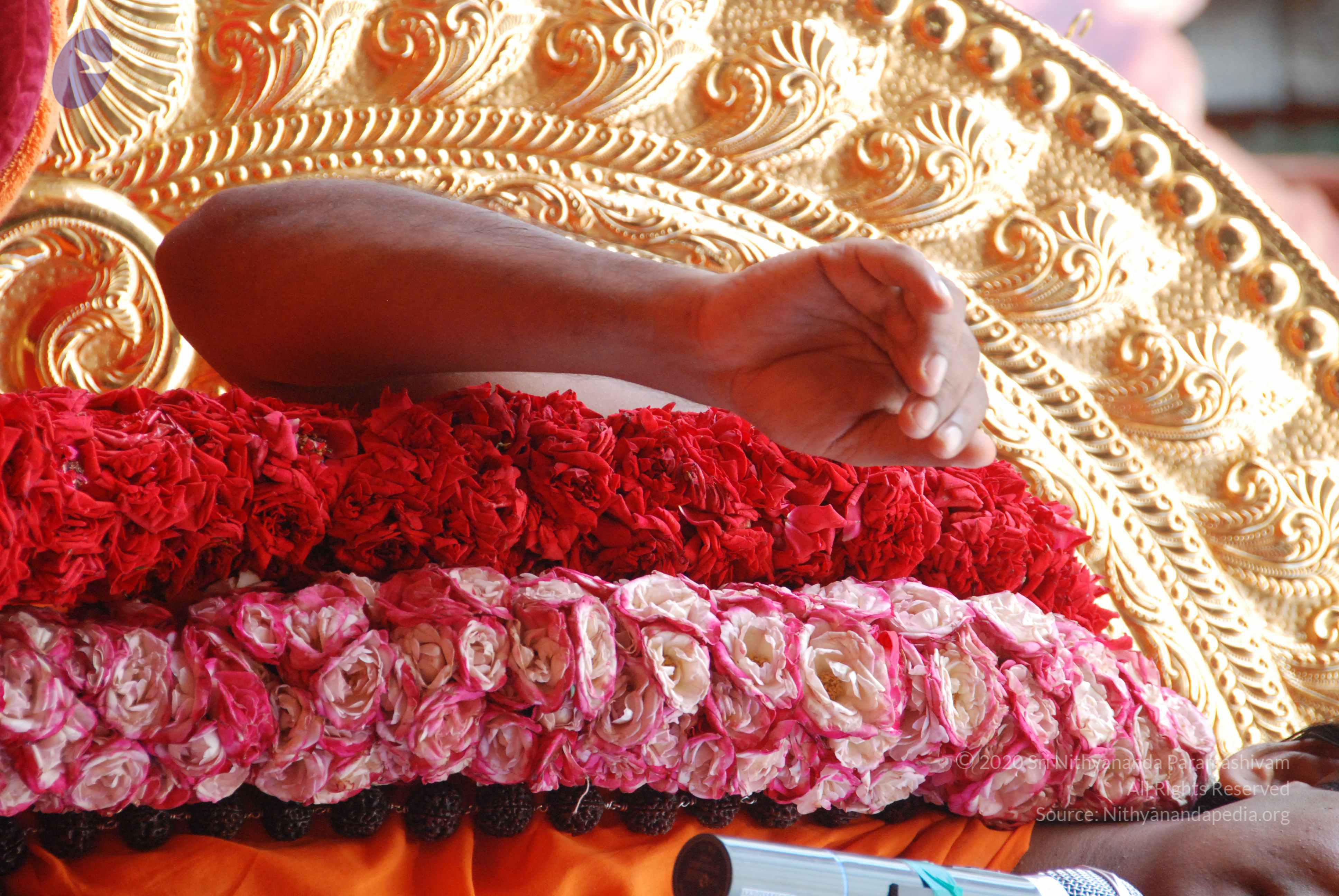 20100821_Photo_1034_DSC_6178_CMP_WM