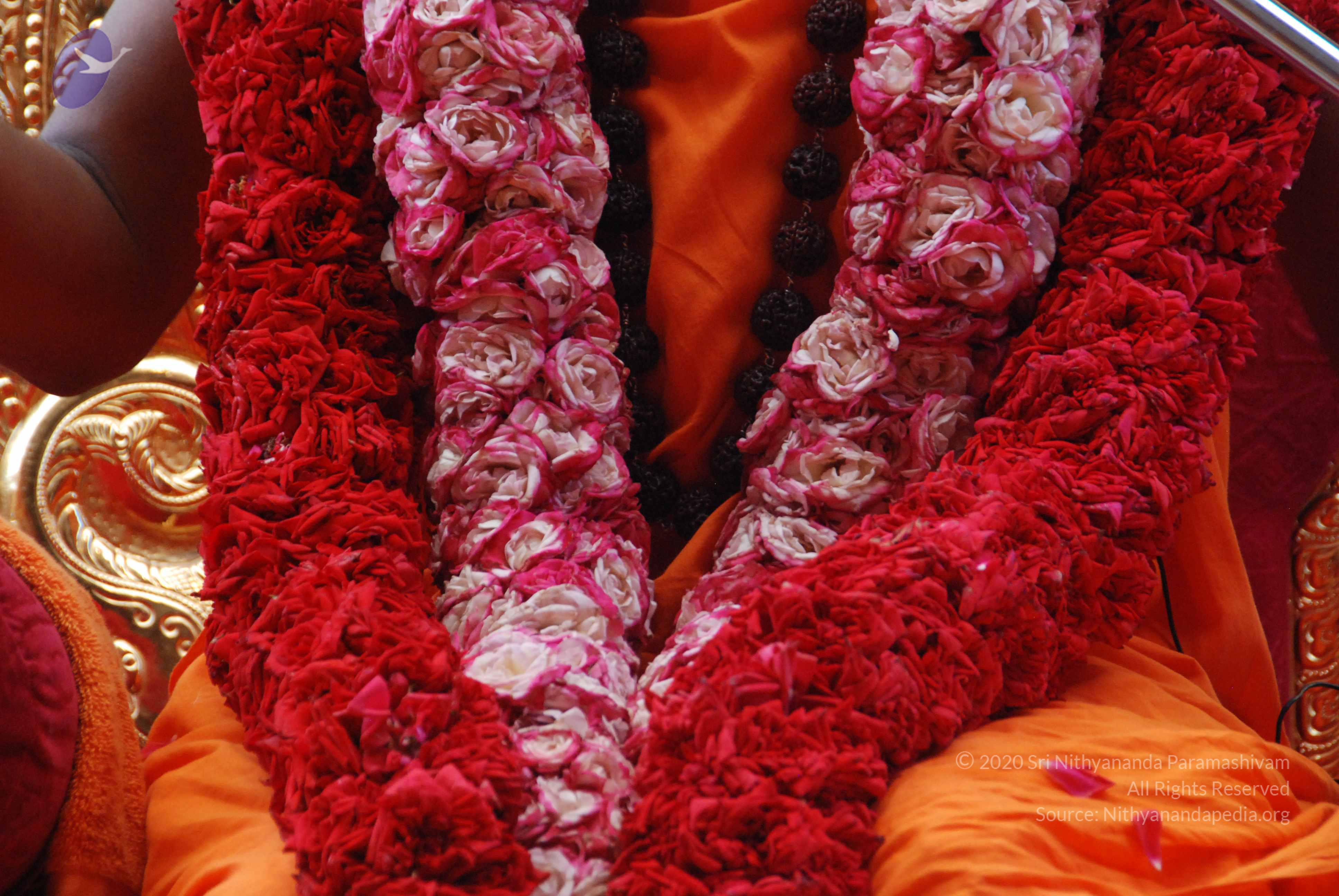 20100821_Photo_1036_DSC_6164_CMP_WM